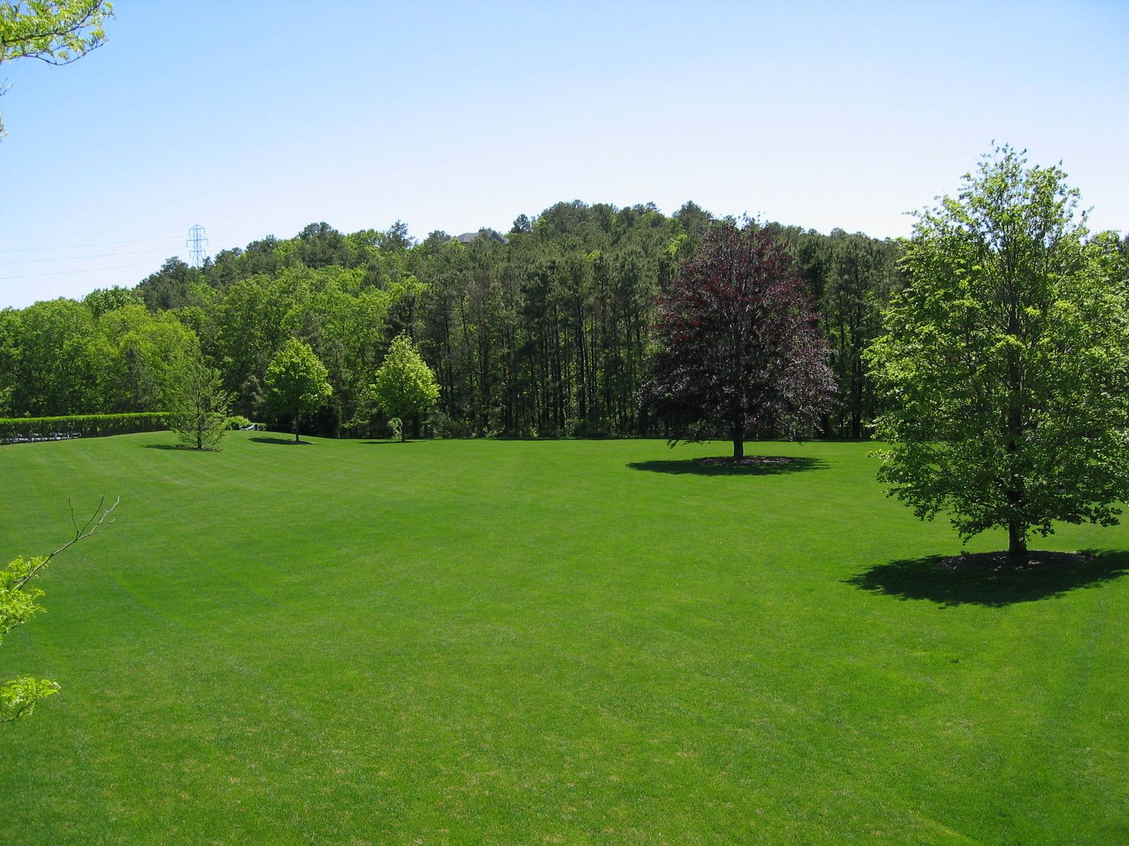 920 Old Sag Harbor Road Water Mill, NY 11976 - Photo 4 of 19 a view of a green field with trees in the background