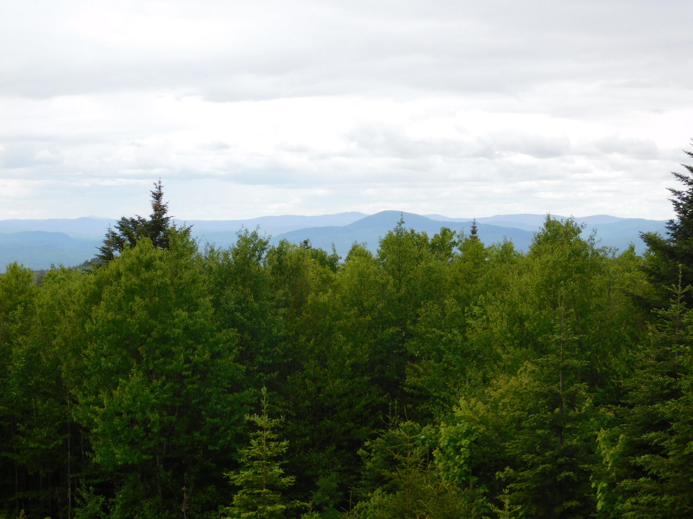 121 Shale Pit Road West Forks, ME 04985 - Photo 24 of 28 DSCN0748