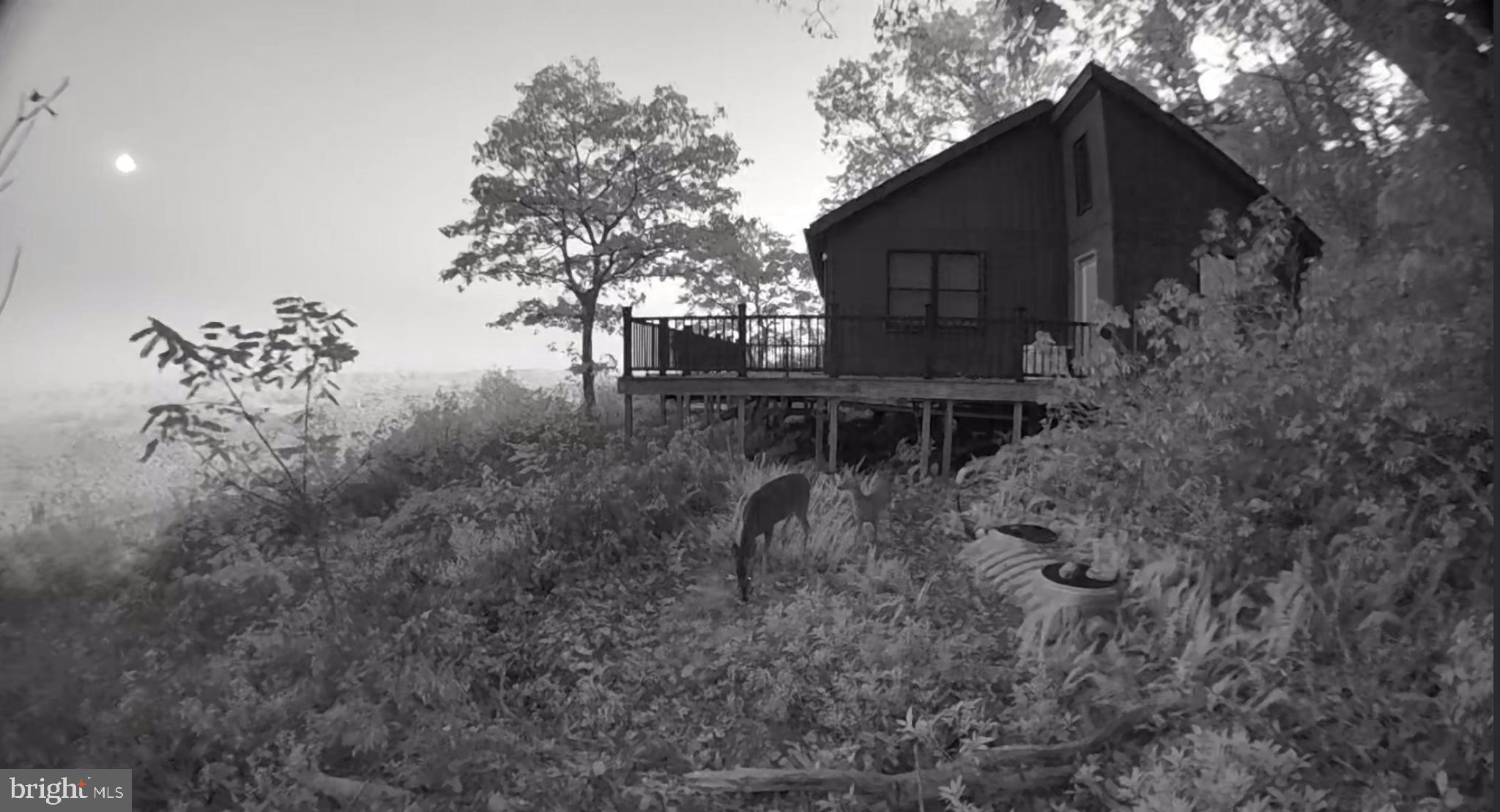 829 Kile Knob Road Franklin, WV 26807 - Photo 6 of 31