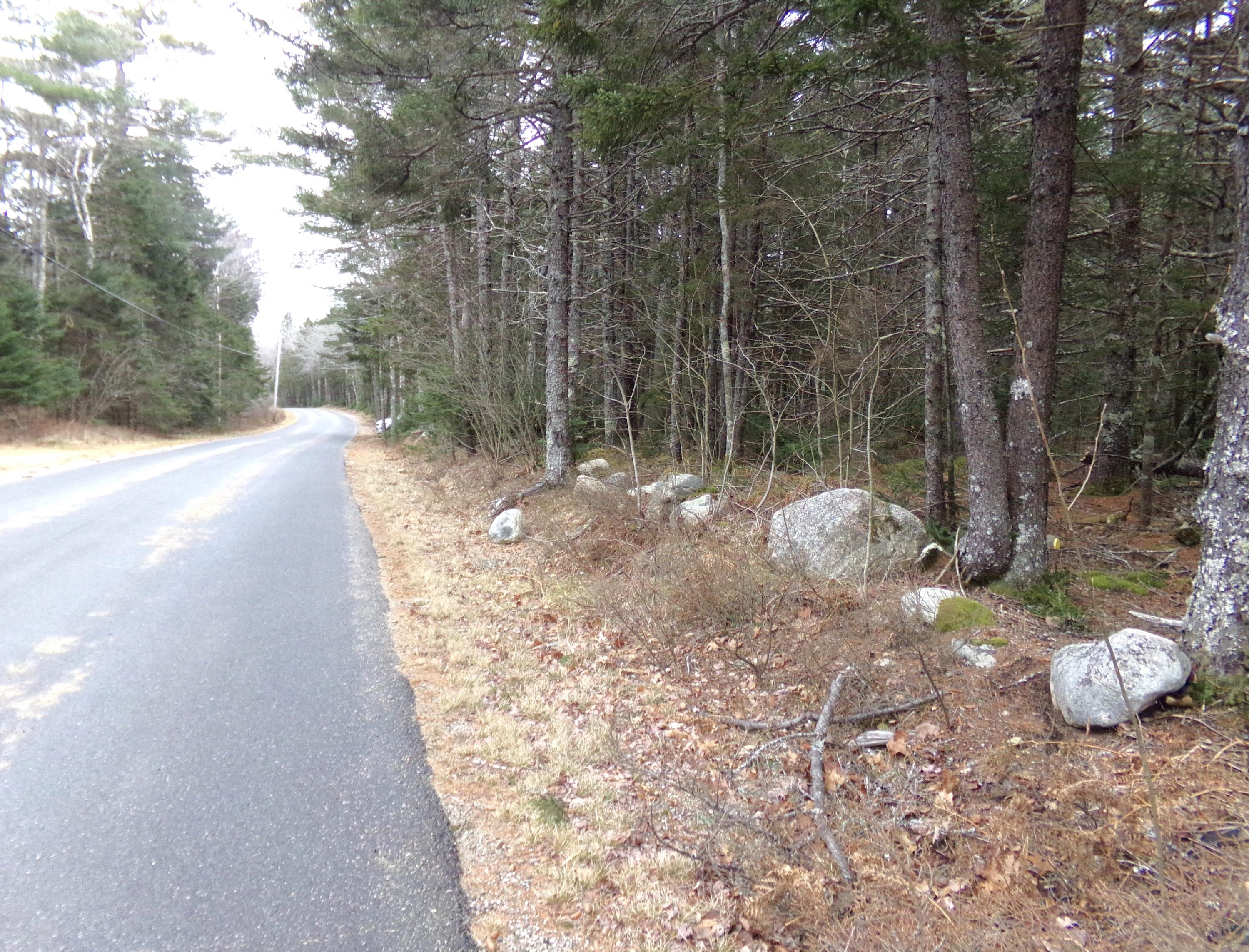 Lot 3 Rogers Point Road Steuben, ME 04680 - Photo 2 of 12