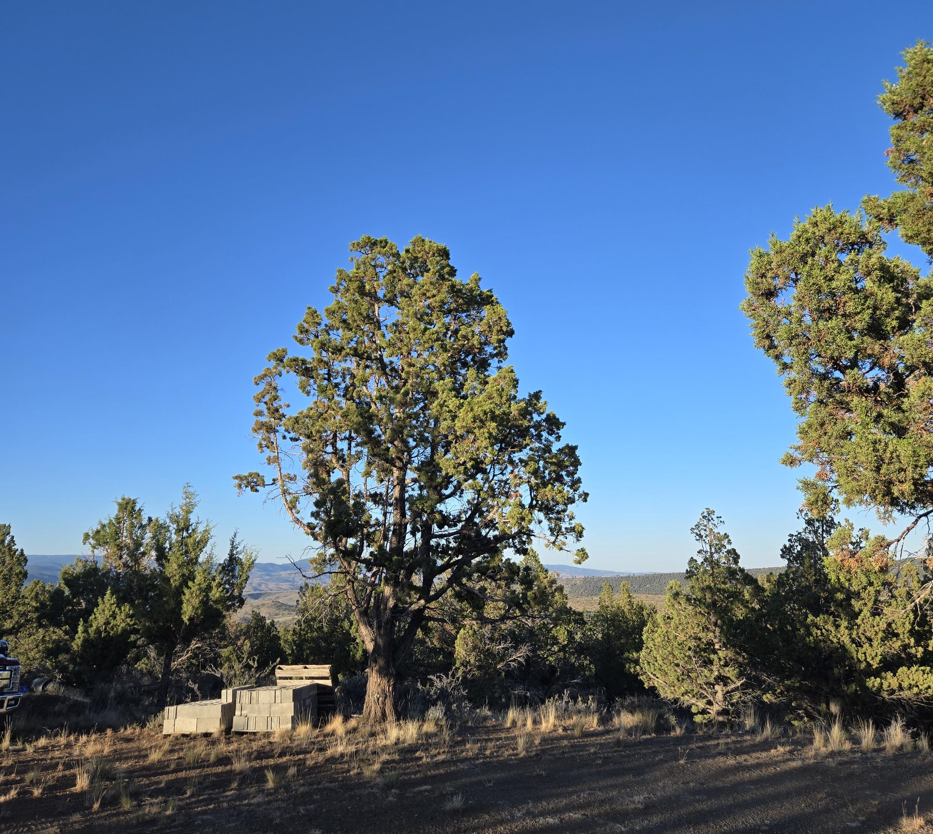20102 Osprey Road, Unit 800 Prineville, OR 97754 - Photo 6 of 20 20250711_194404