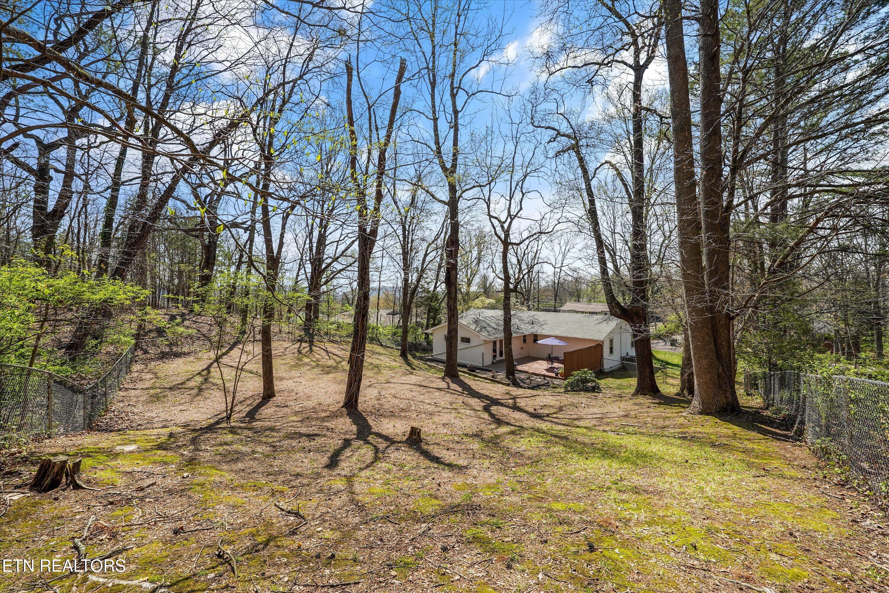 5614 Wassman Road Knoxville, TN 37912 - Photo 38 of 47 39-5614 Wassman Rd 31