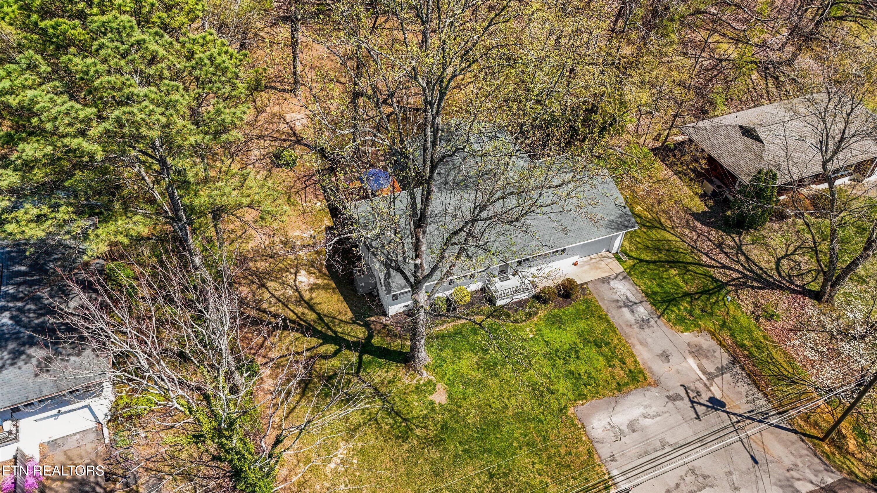 5614 Wassman Road Knoxville, TN 37912 - Photo 40 of 47 41-5614 Wassman Rd 40