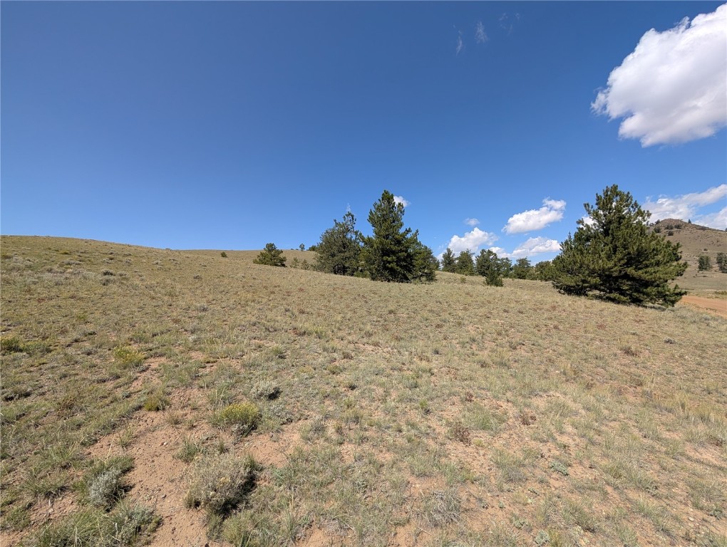 0 Cherokee Trail Hartsel, CO 80449 - Photo 15 of 27 a view of a dry yard with trees