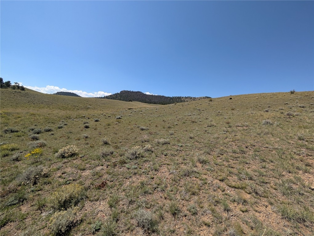 0 Cherokee Trail Hartsel, CO 80449 - Photo 18 of 27 a view of a dry field with mountains in the background