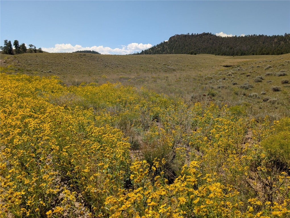 0 Cherokee Trail Hartsel, CO 80449 - Photo 20 of 27 a view of mountain with lake view