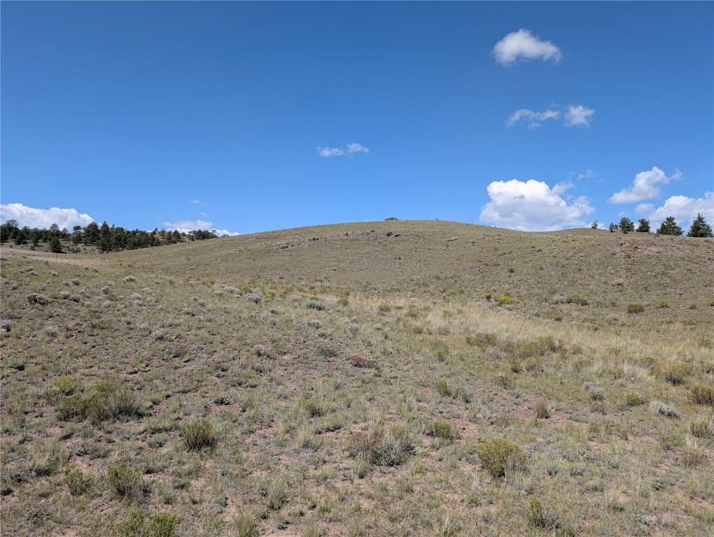 0 Cherokee Trail Hartsel, CO 80449 - Photo 5 of 27 a view of a dry yard with wooden fence