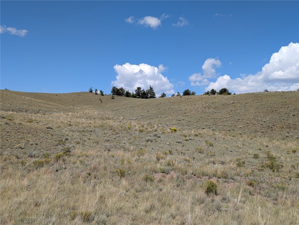 0 Cherokee Trail Hartsel, CO 80449 - Photo 9 of 27