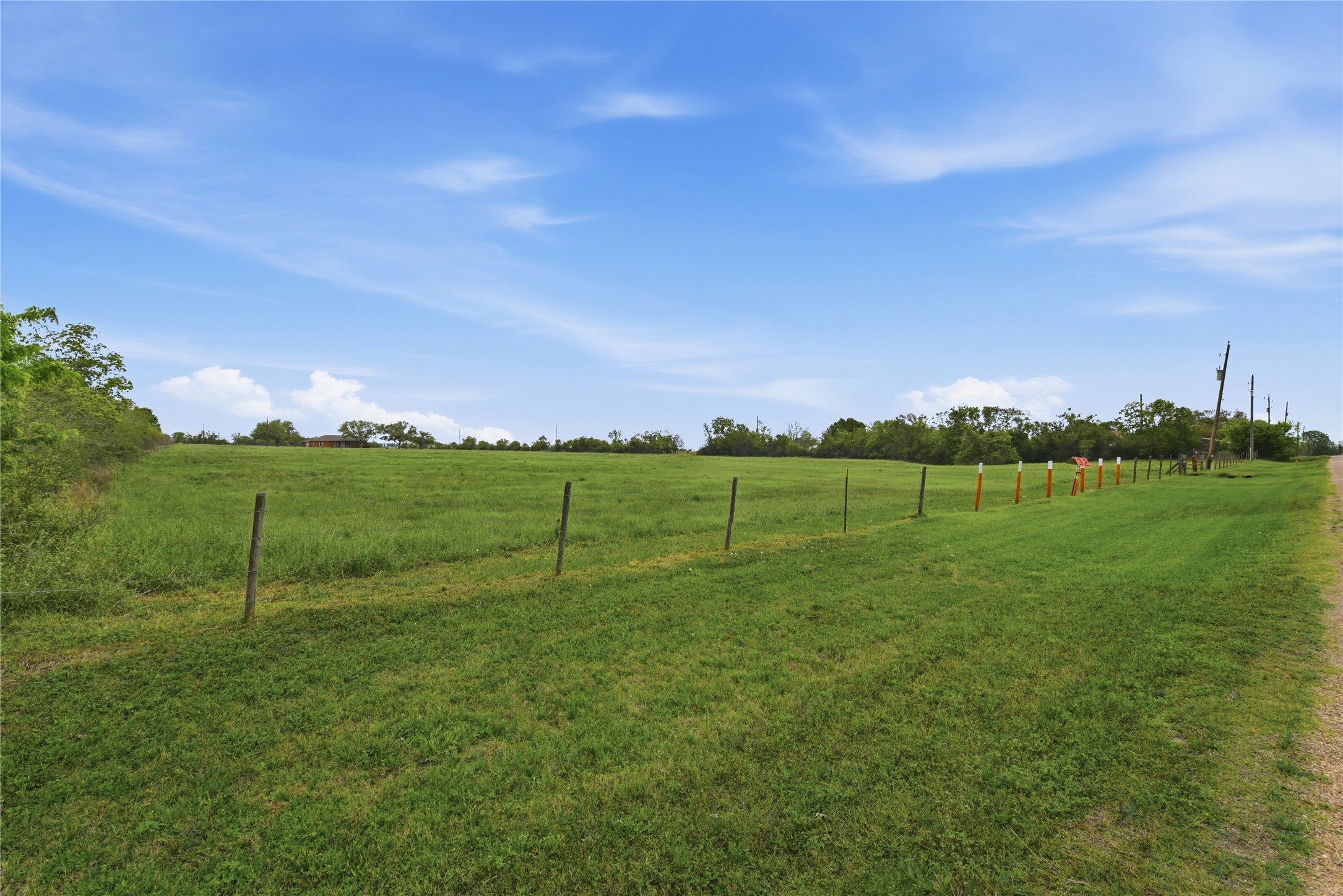 1250 Stockwell Damon, TX 77430 - Photo 9 of 50