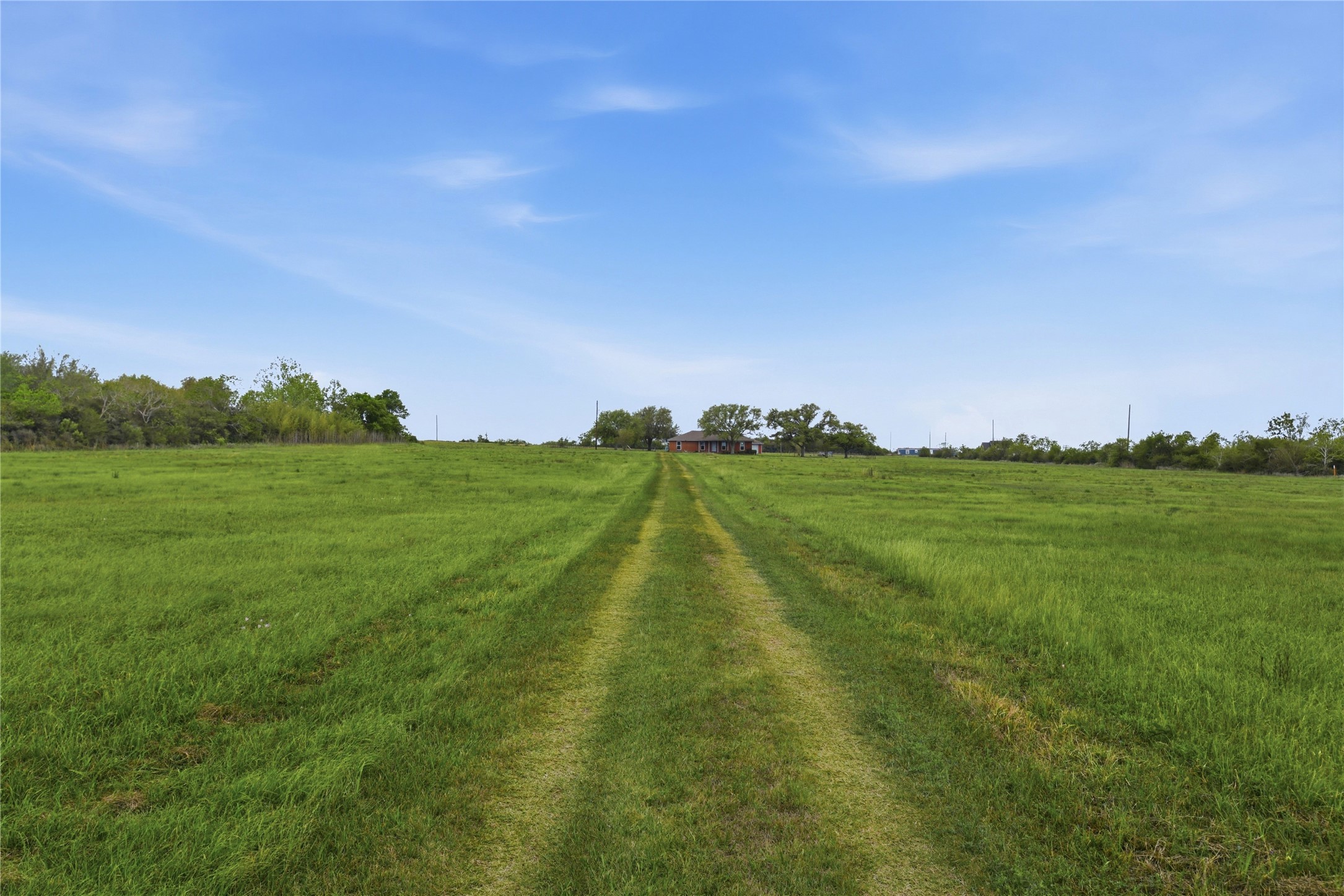 1250 Stockwell Damon, TX 77430 - Photo 10 of 50 a view of a grassy field