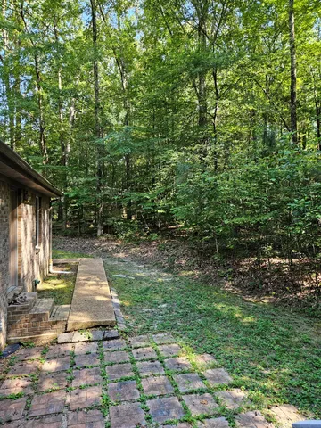 a view of backyard with green space