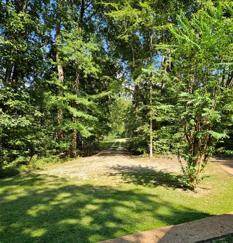 a view of a yard with an trees