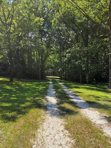 a view of a tennis ground with large trees