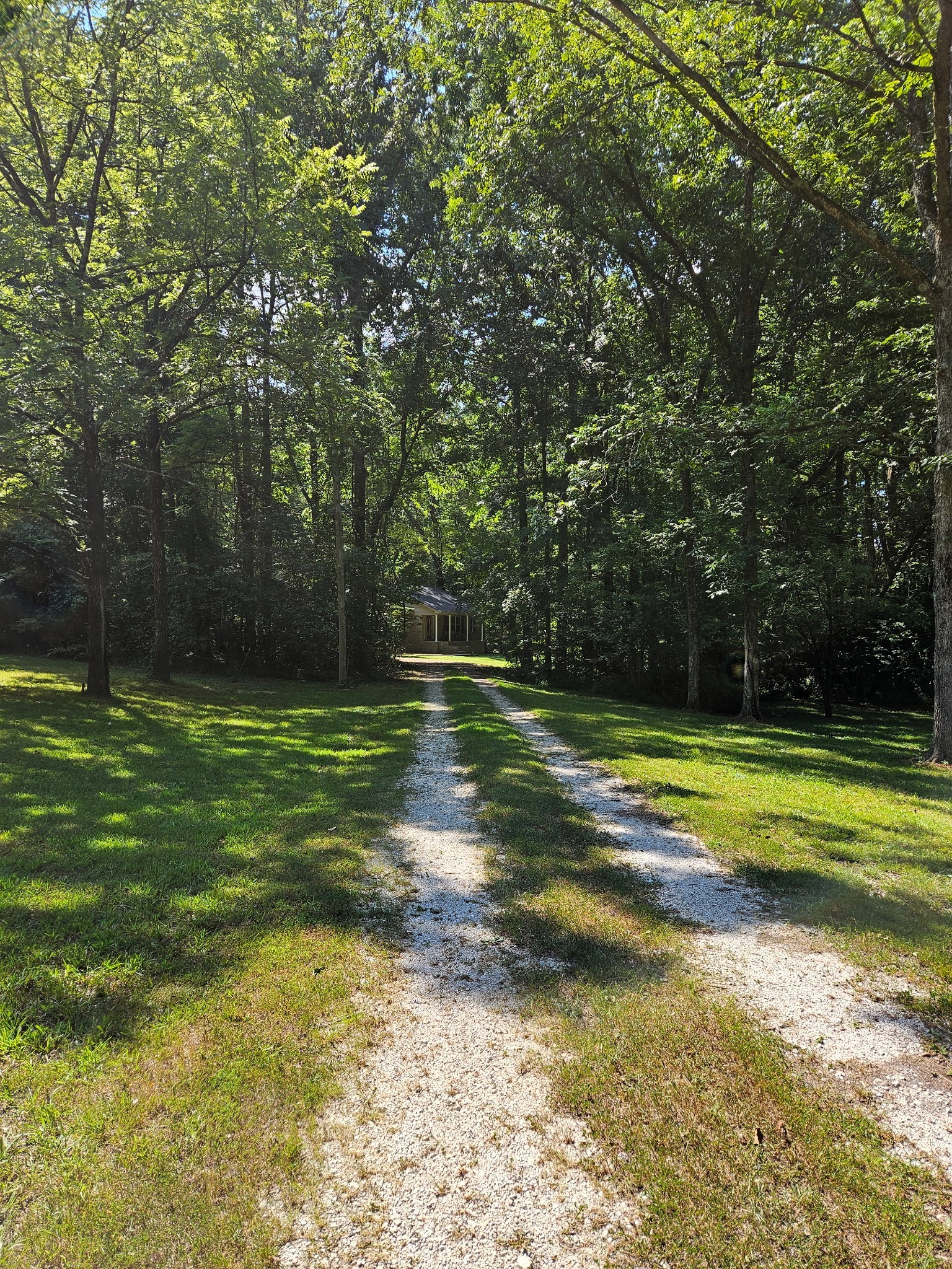 8202 State Highway 69 South Springville, TN 38256 - Photo 15 of 42 a view of a tennis ground with large trees