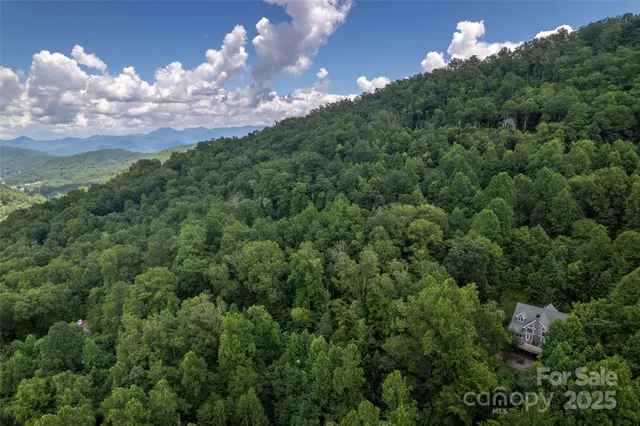 a view of a city and lush green forest