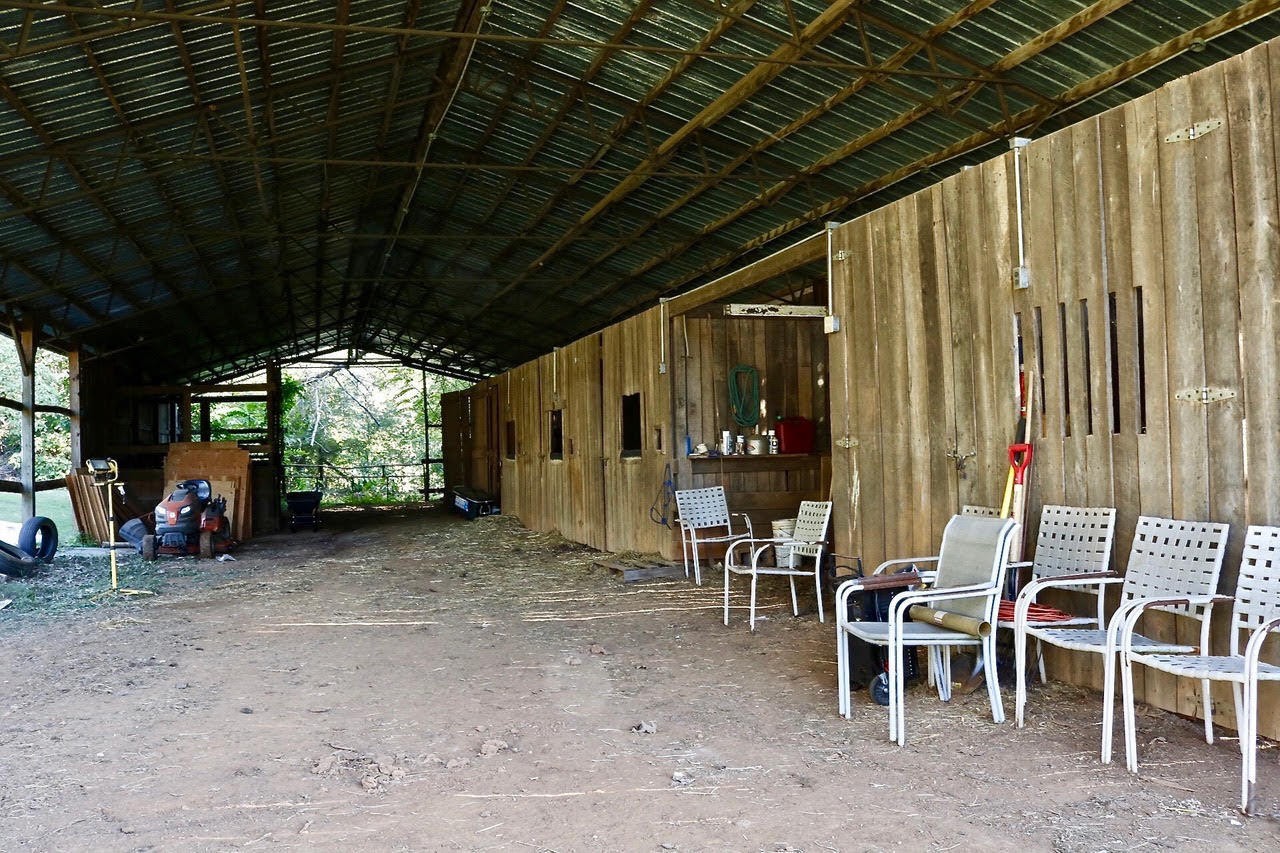 6502 Peterson Road Greenback, TN 37742 - Photo 4 of 26 Gallery Image 4