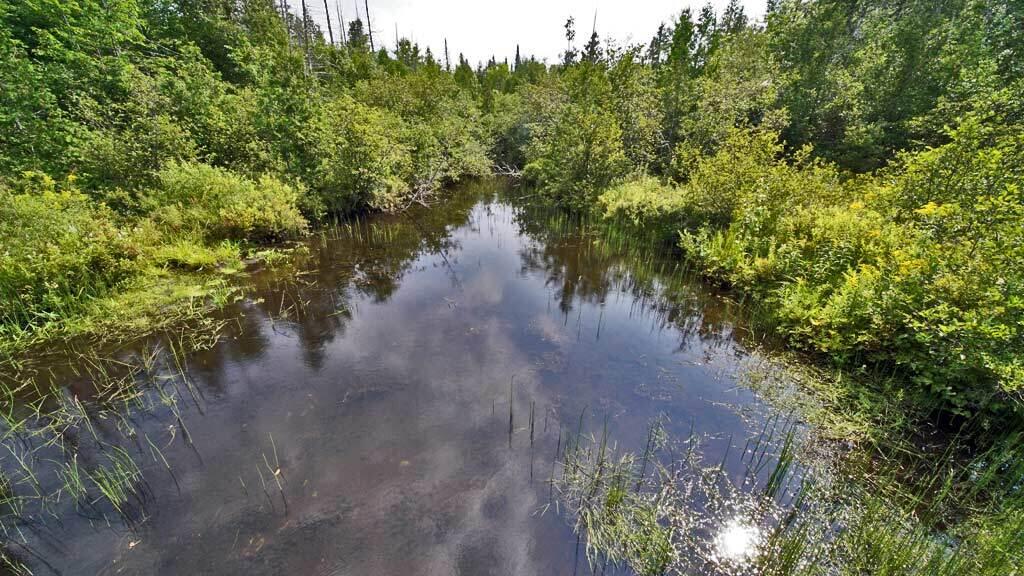 Lot 62-5 Folsom Road Houlton, ME 04730 - Photo 5 of 28 folsom-rd-me-land-12