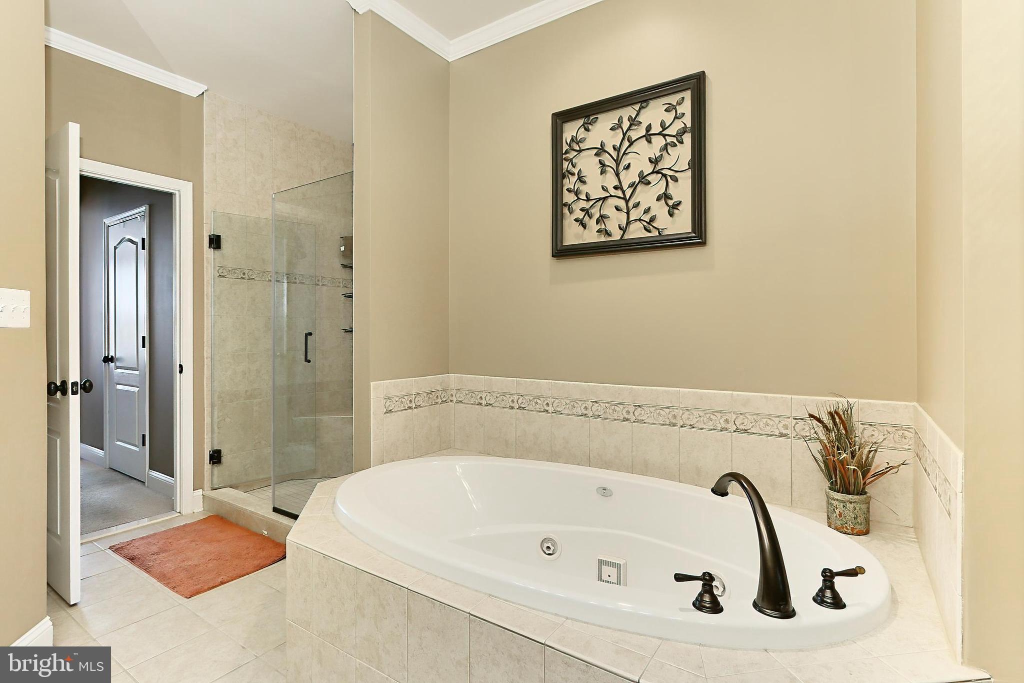 1619 Kirby Road McLean, VA 22101 - Photo 27 of 60 Main level primary bathroom