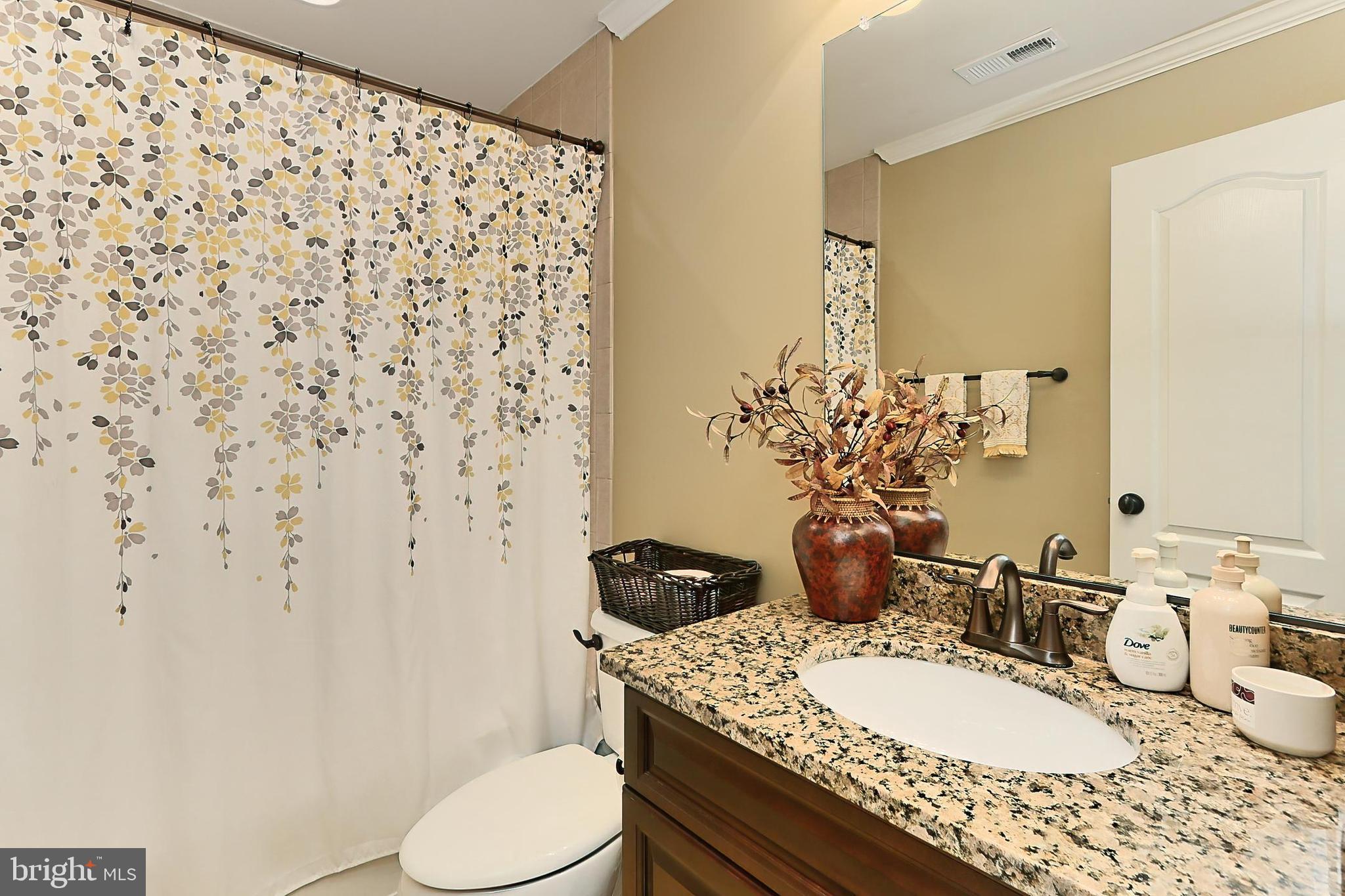 1619 Kirby Road McLean, VA 22101 - Photo 40 of 60 bathroom adjoined to the rec/primary room
