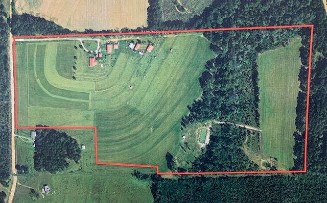 2498 Tindil Creek Road Slocomb, AL 36375 - Photo 49 of 49