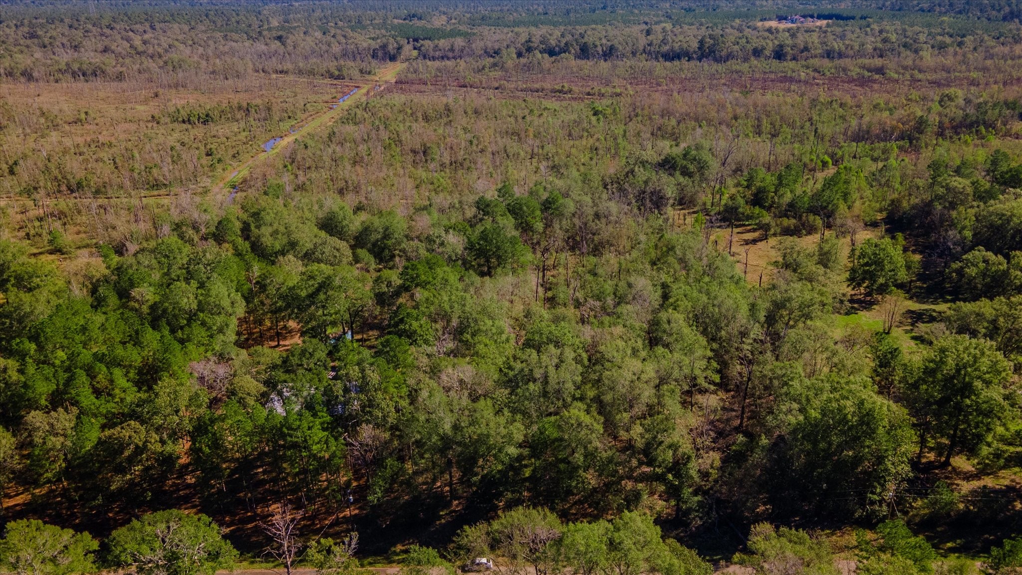 1234 County Road 2145 Cleveland, TX 77327 - Photo 14 of 30