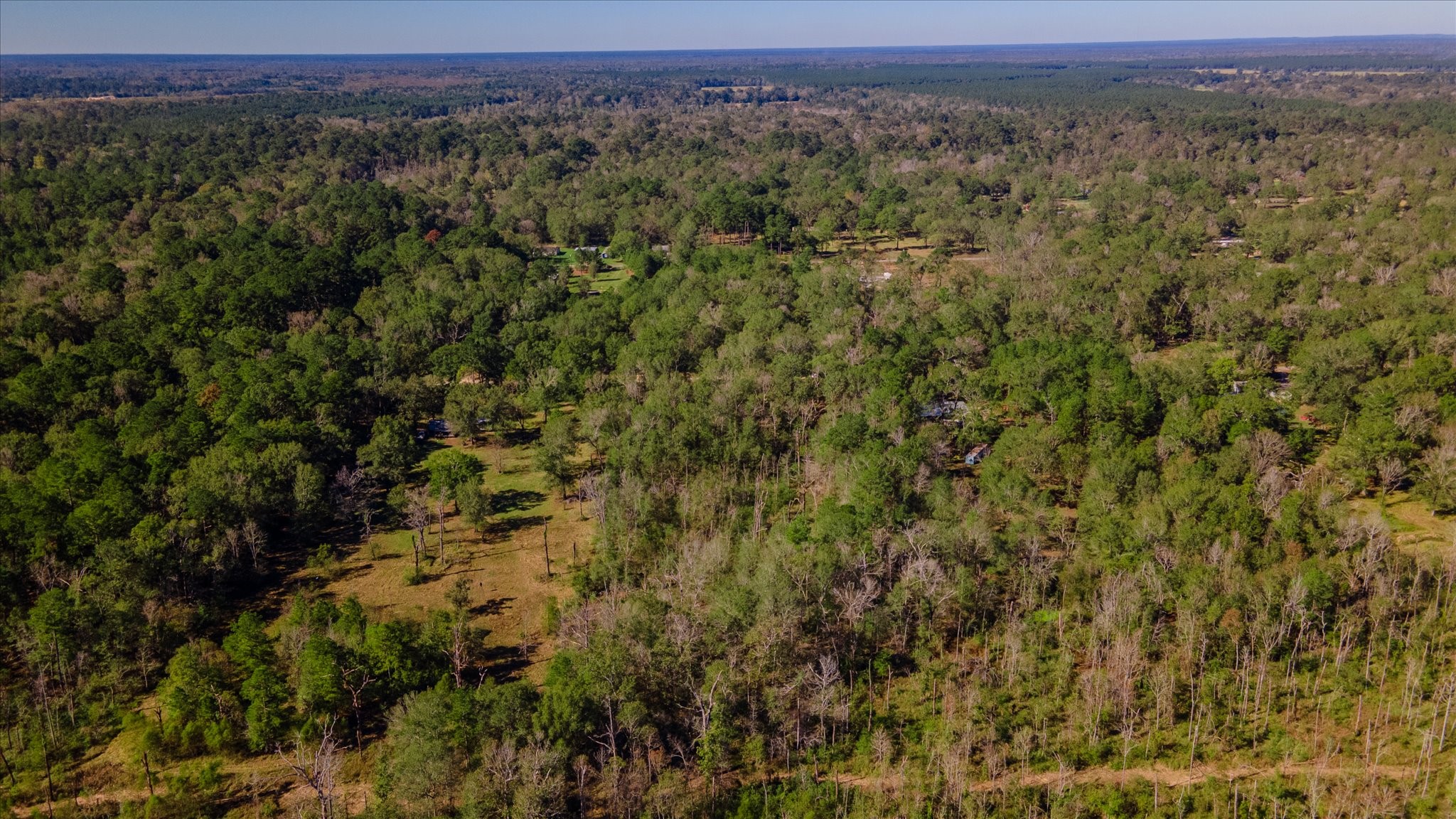 1234 County Road 2145 Cleveland, TX 77327 - Photo 20 of 30