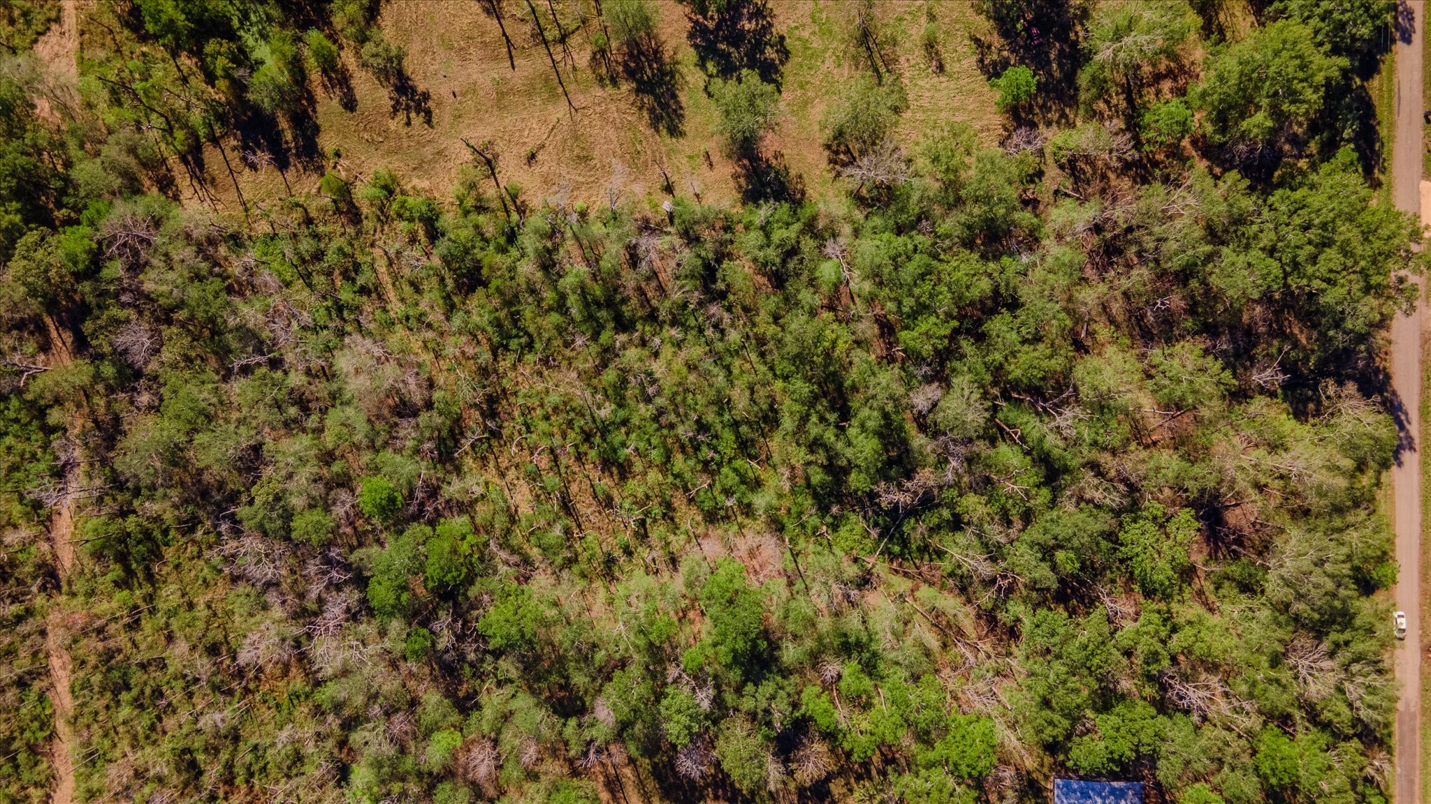 1234 County Road 2145 Cleveland, TX 77327 - Photo 24 of 30