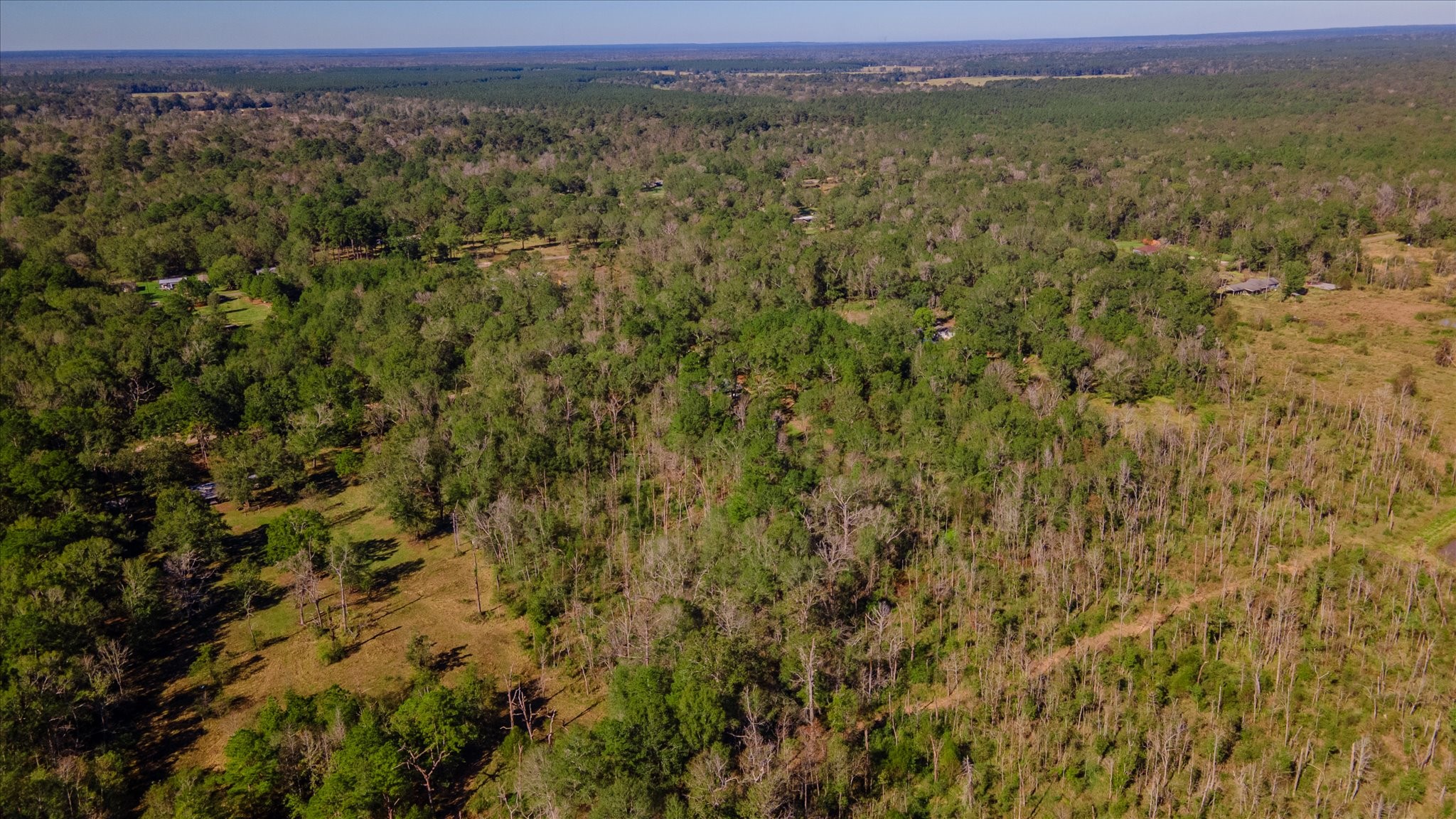 1234 County Road 2145 Cleveland, TX 77327 - Photo 8 of 30