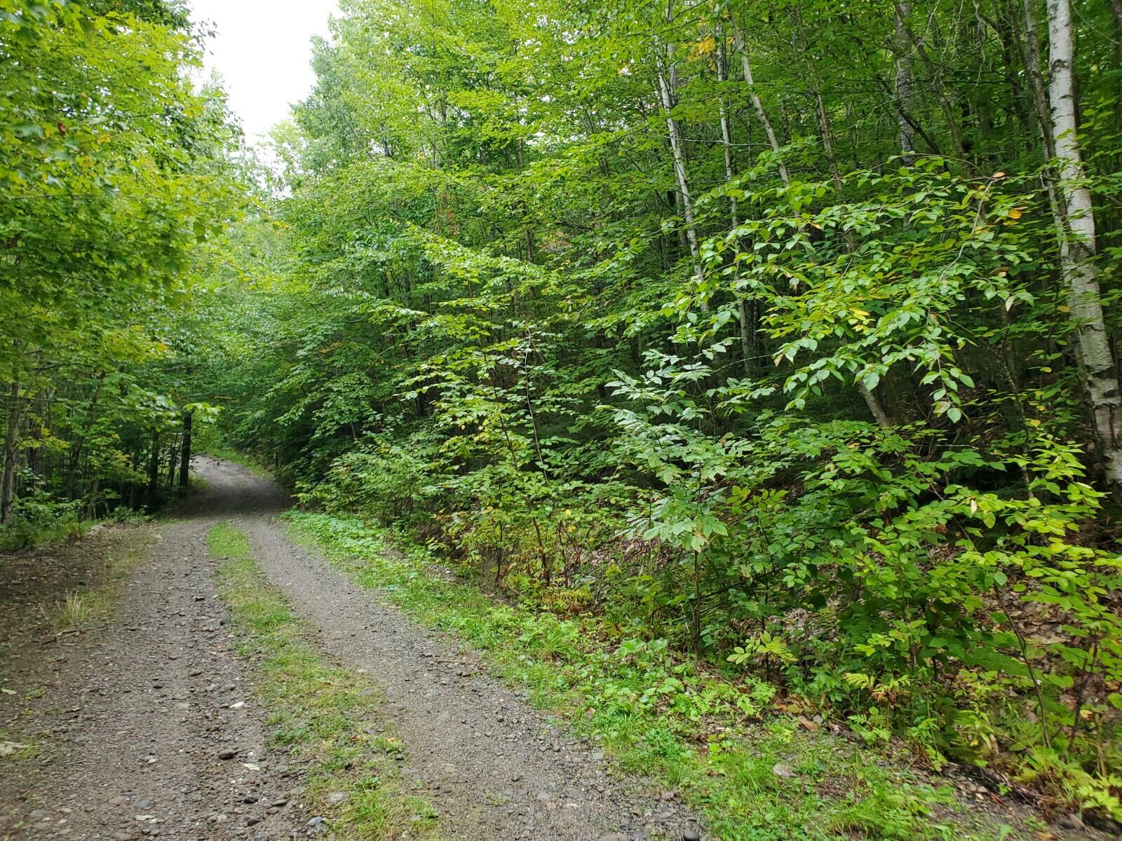 Off Vista View Road Lakeville, ME 04487 - Photo 3 of 10 20210915_113513