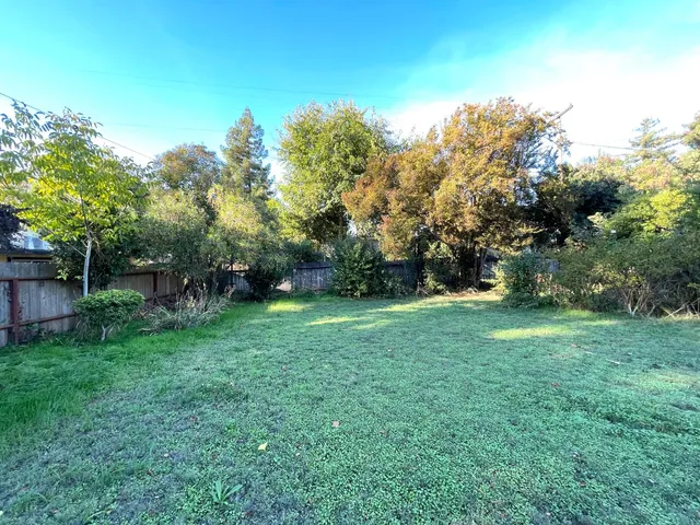 a view of a yard with a tree