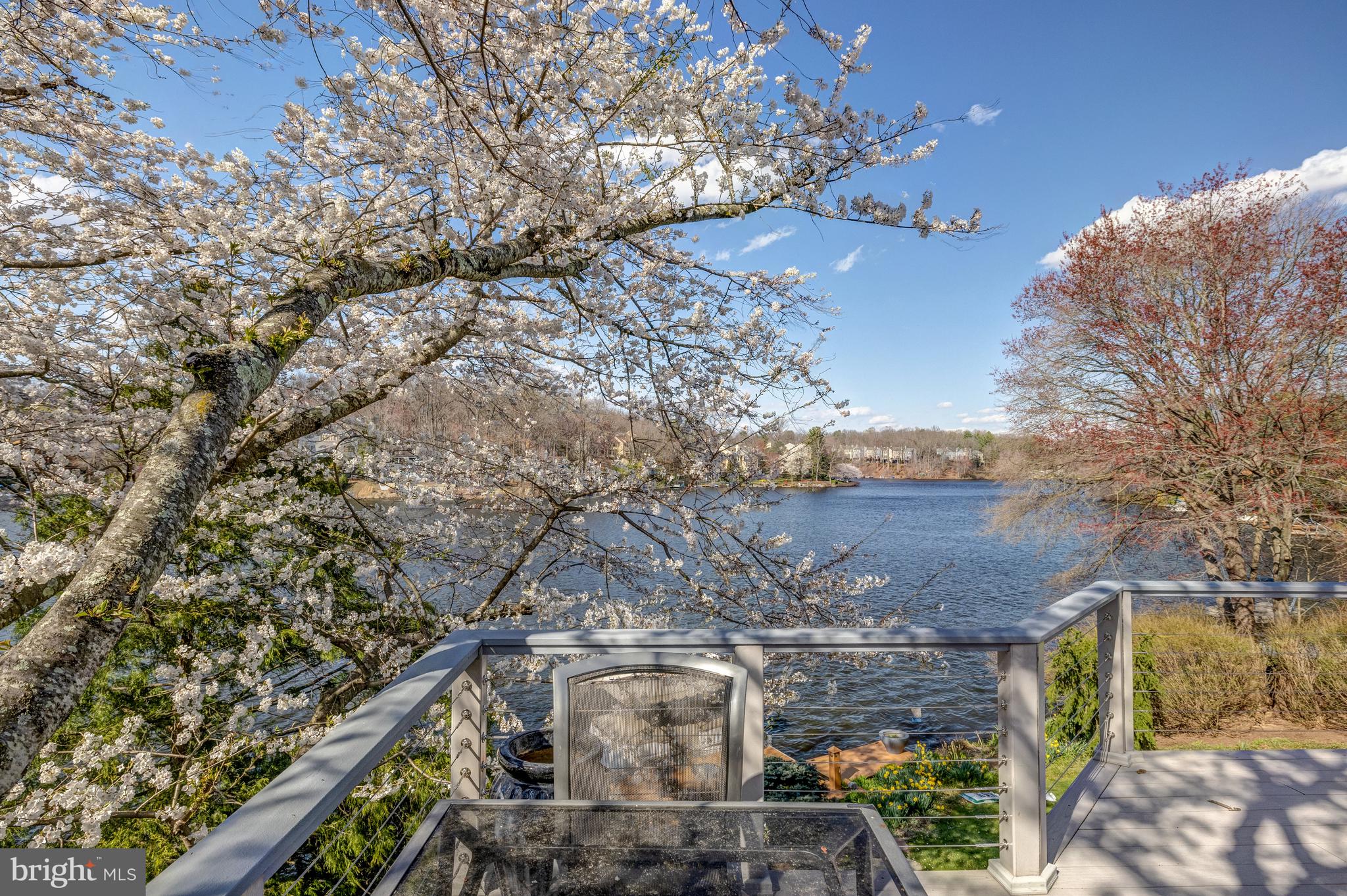 2202 Spinnaker Court Reston, VA 20191 - Photo 126 of 137 Beautiful cherry blossoms flank the back lawn.