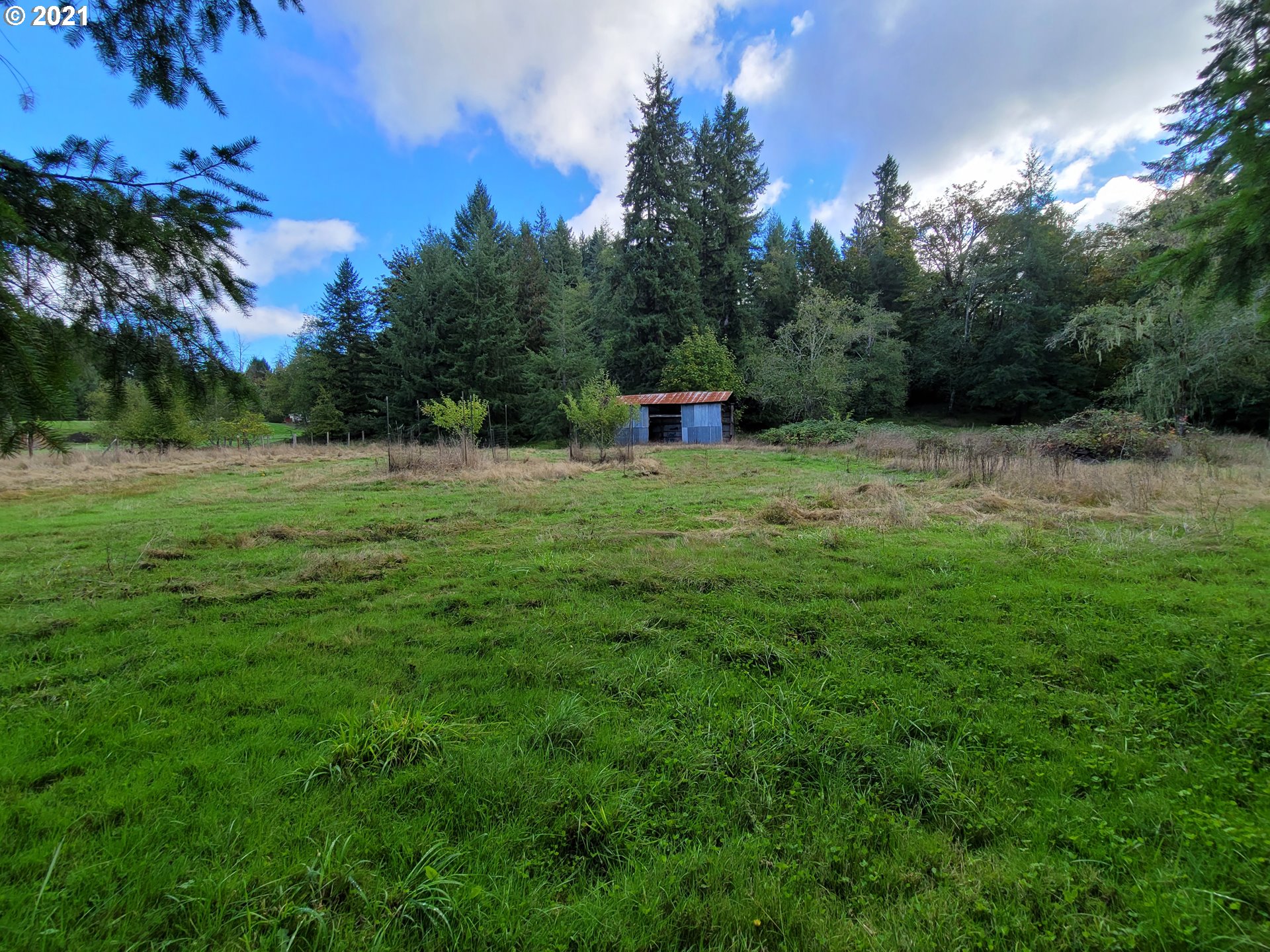 4101 Rose Valley Road Kelso, WA 98626 - Photo 19 of 22 Gallery Image 19