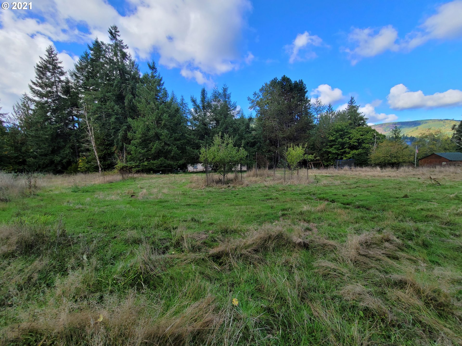 4101 Rose Valley Road Kelso, WA 98626 - Photo 21 of 22 Gallery Image 21