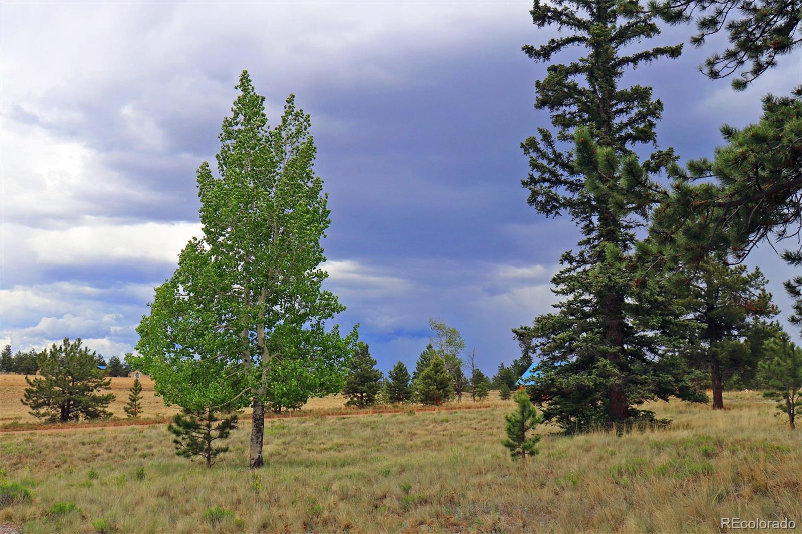 45 Singletree Road Hartsel, CO 80449 - Photo 13 of 40 Gallery Image 13