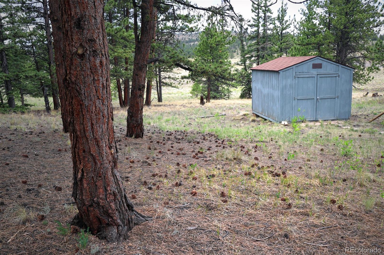 45 Singletree Road Hartsel, CO 80449 - Photo 14 of 40 Gallery Image 14