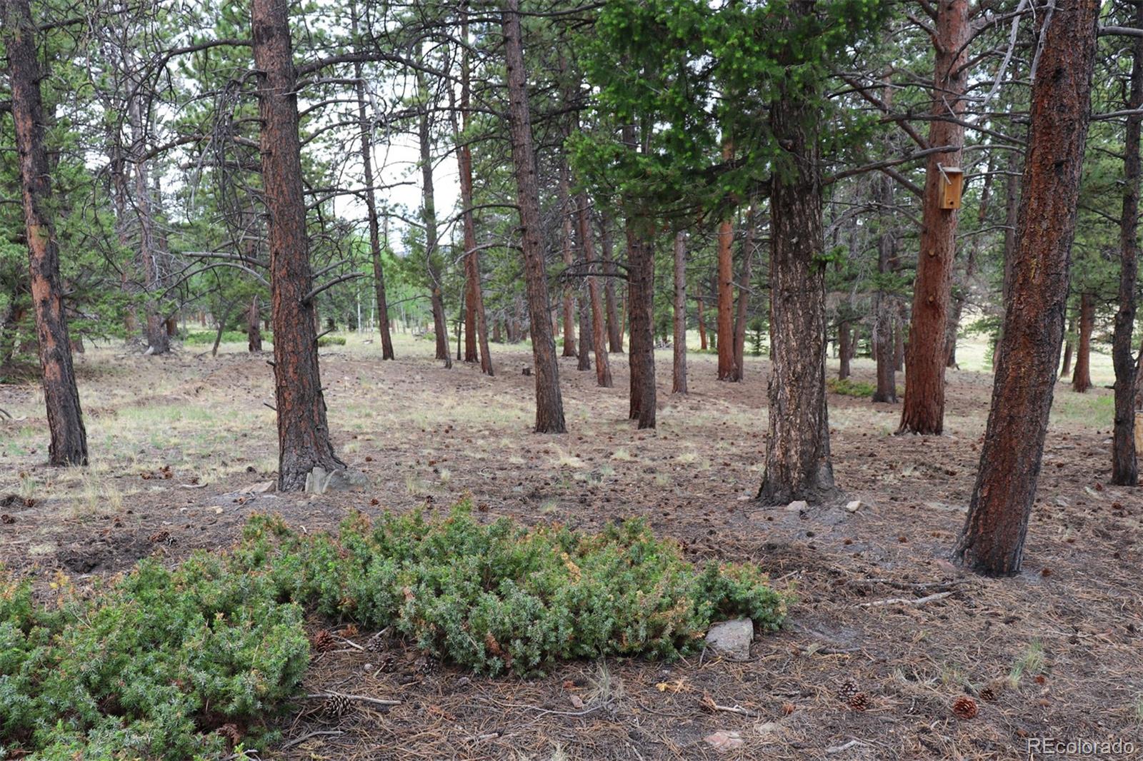 45 Singletree Road Hartsel, CO 80449 - Photo 33 of 40 Gallery Image 33