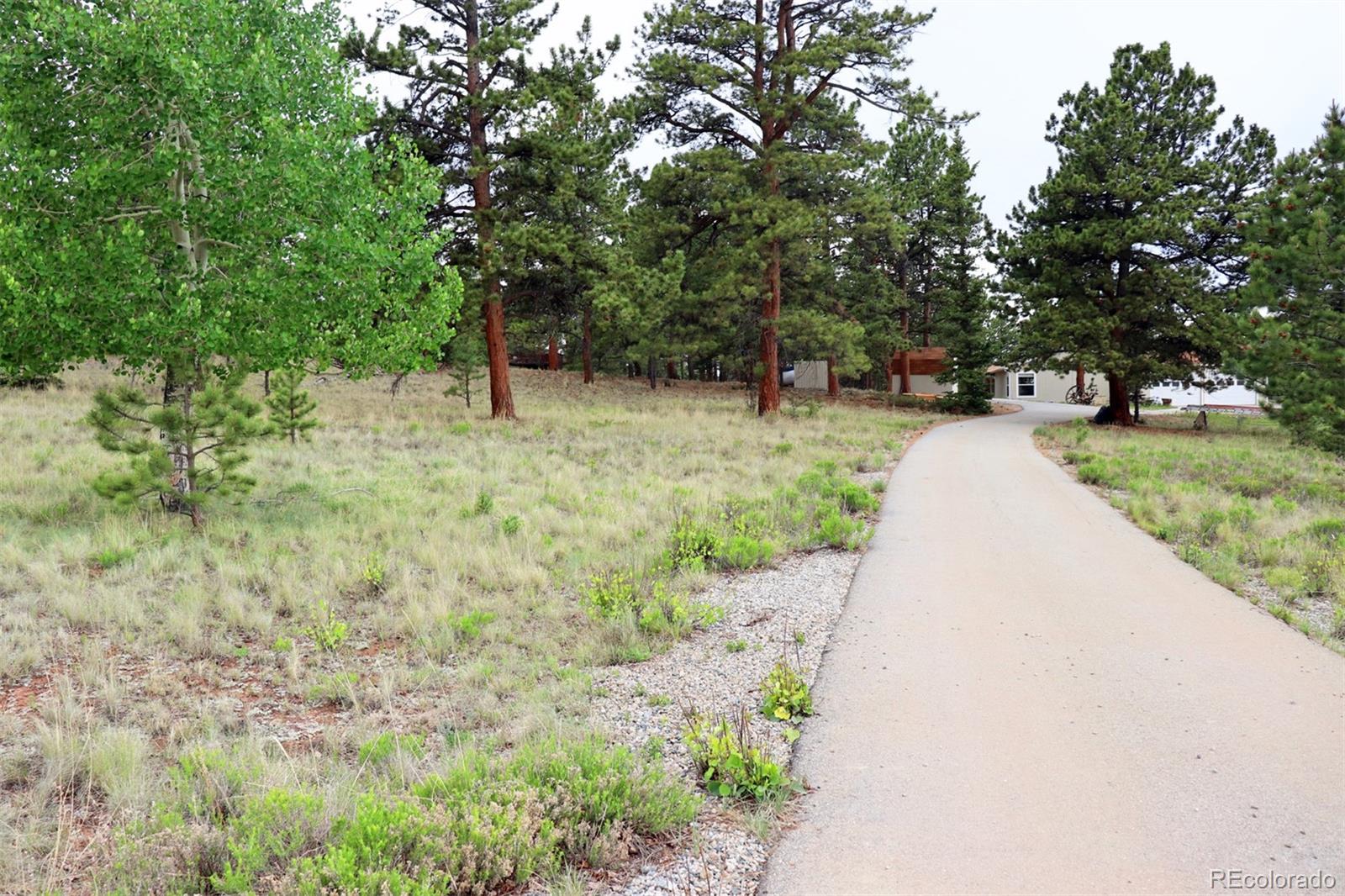 45 Singletree Road Hartsel, CO 80449 - Photo 35 of 40 Gallery Image 35