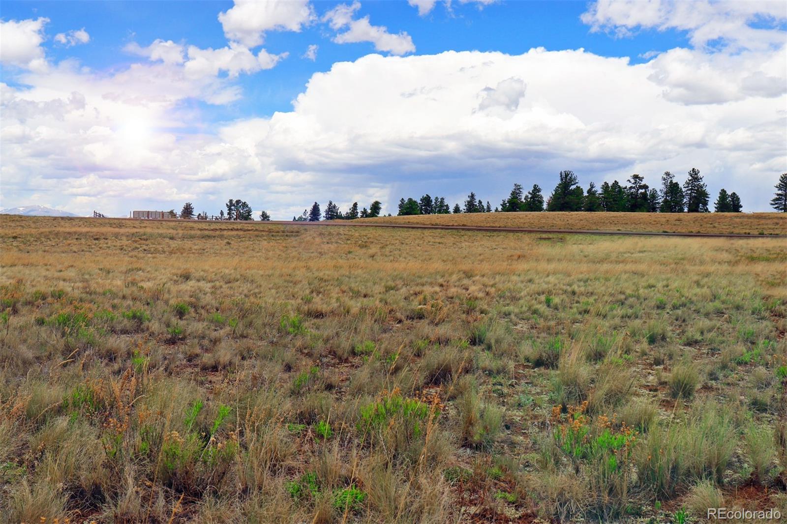 45 Singletree Road Hartsel, CO 80449 - Photo 36 of 40 Gallery Image 36
