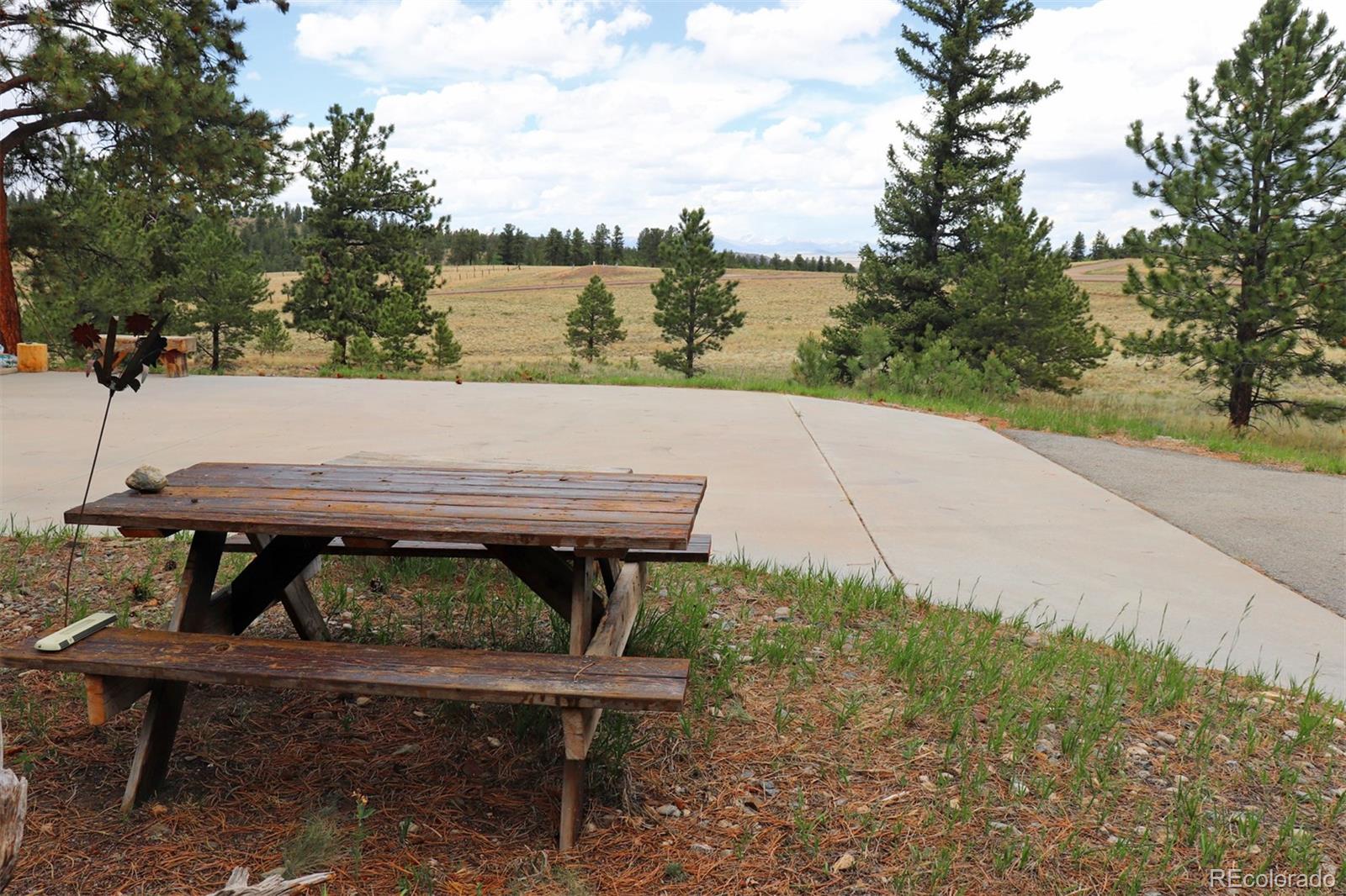 45 Singletree Road Hartsel, CO 80449 - Photo 37 of 40 Gallery Image 37