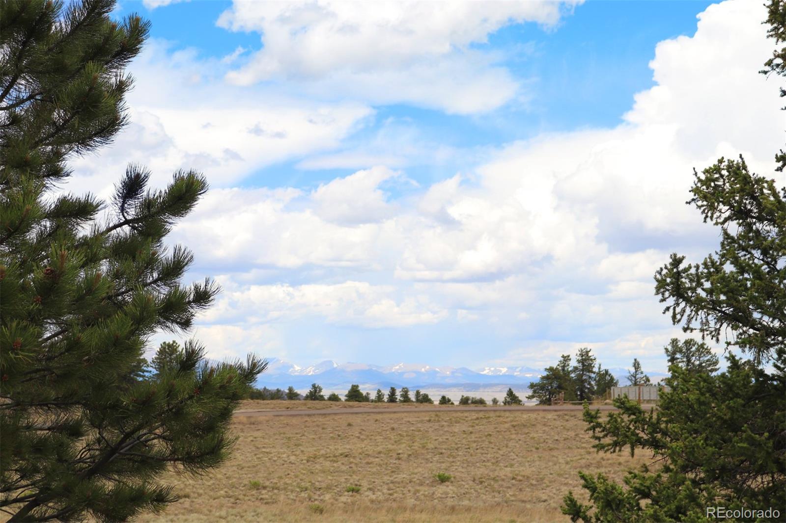 45 Singletree Road Hartsel, CO 80449 - Photo 6 of 40 Gallery Image 6
