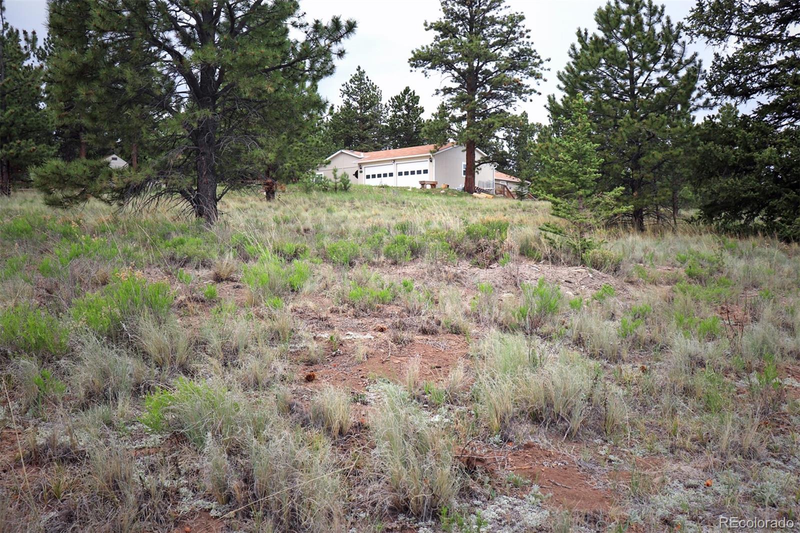 45 Singletree Road Hartsel, CO 80449 - Photo 8 of 40 Gallery Image 8