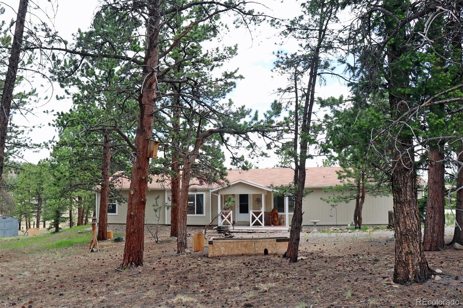 45 Singletree Road Hartsel, CO 80449 - Photo 9 of 40 Gallery Image 9