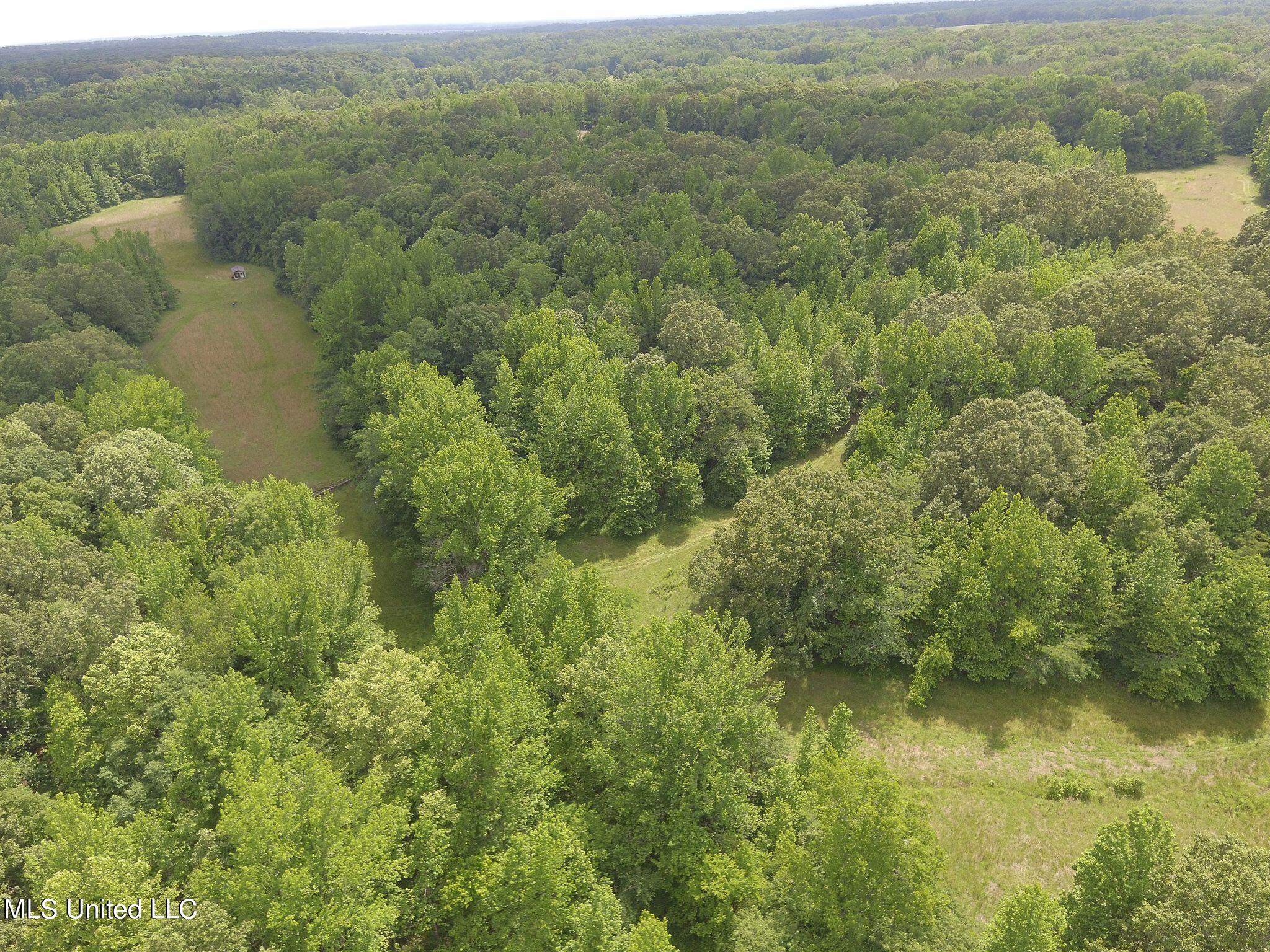 0 Avant Road Crenshaw, MS 38621 - Photo 1 of 14 Pic