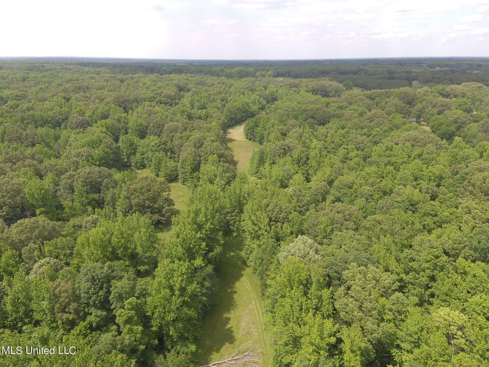 0 Avant Road Crenshaw, MS 38621 - Photo 11 of 14 Avand rd 11