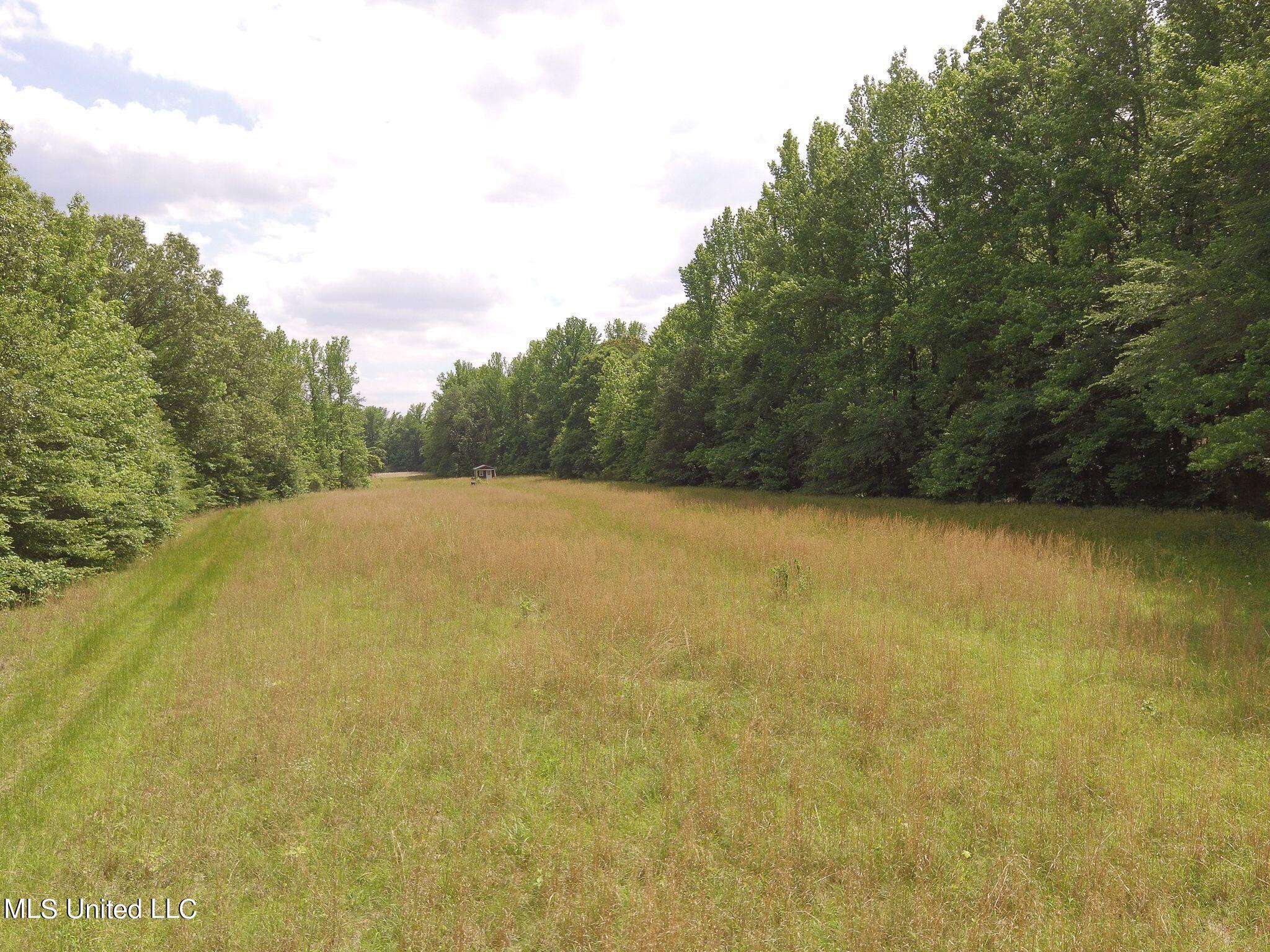 0 Avant Road Crenshaw, MS 38621 - Photo 12 of 14 Avant rd 12