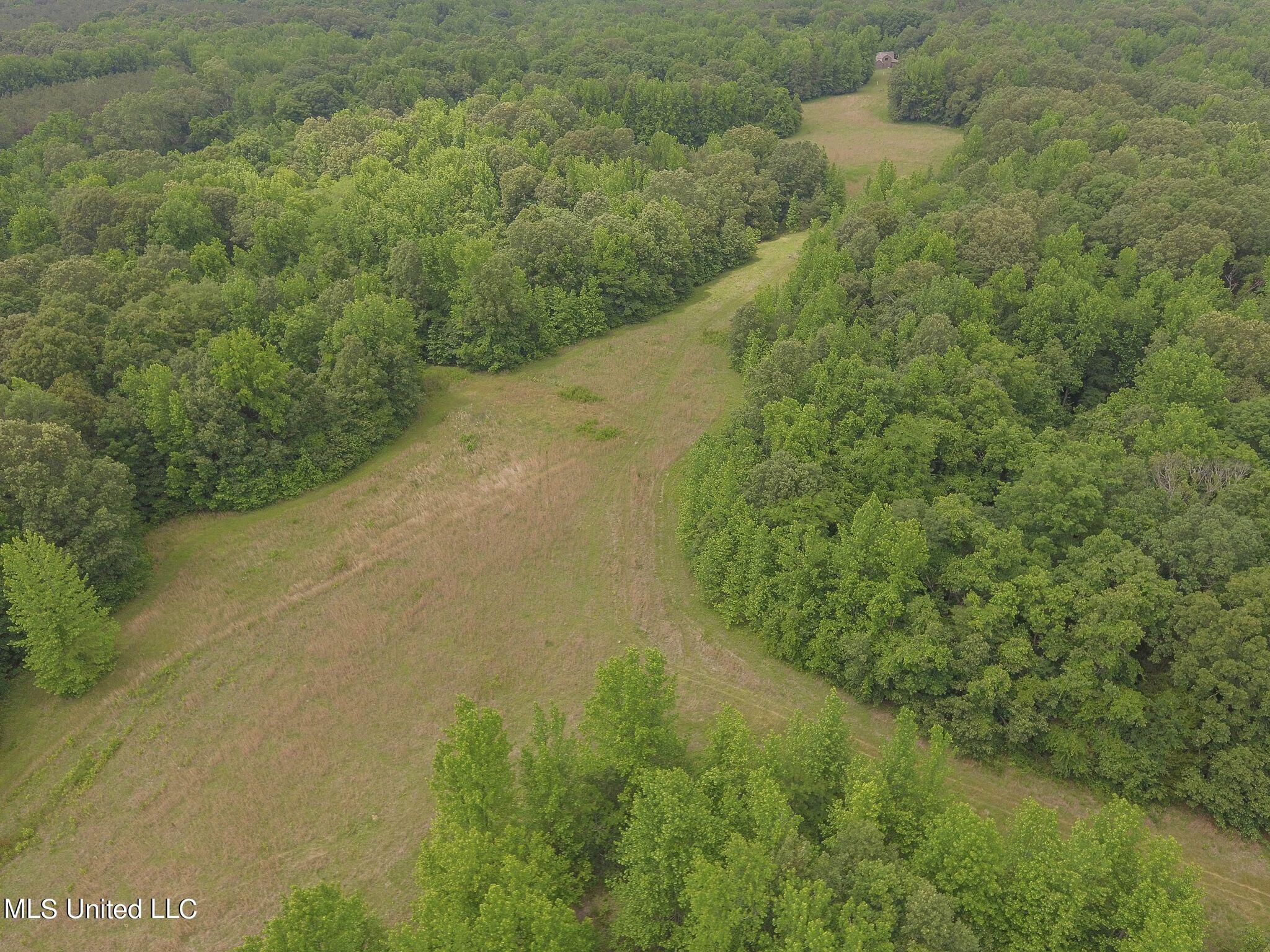 0 Avant Road Crenshaw, MS 38621 - Photo 3 of 14 Avand Rd 3