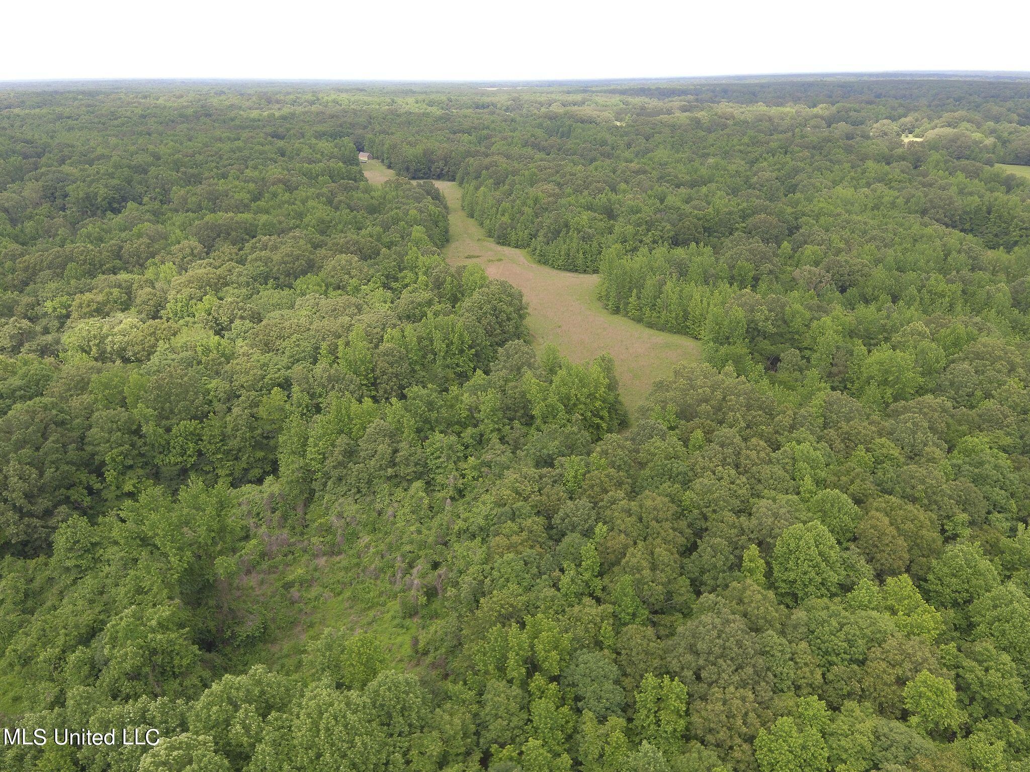 0 Avant Road Crenshaw, MS 38621 - Photo 4 of 14 Avant rd 4