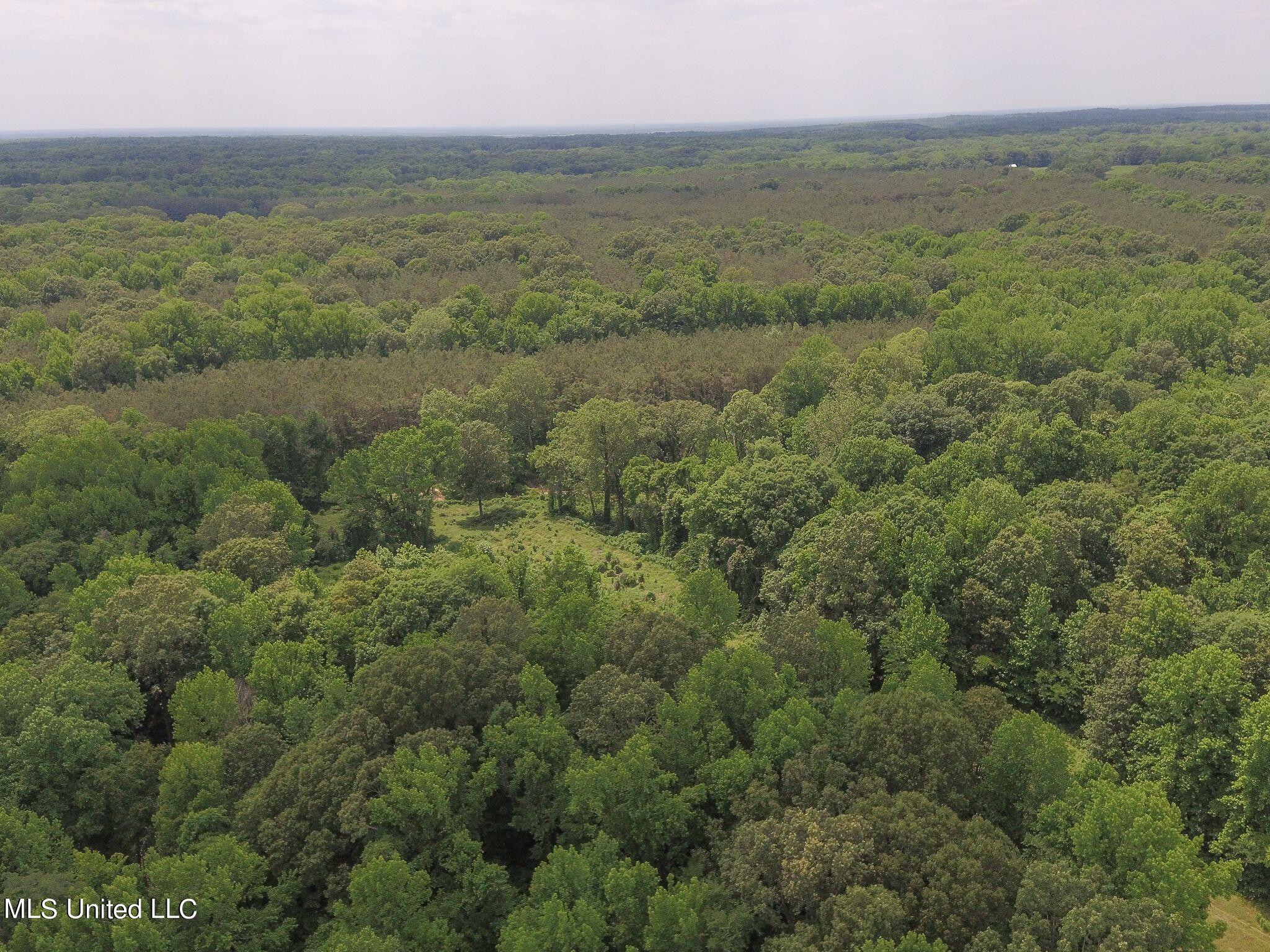 0 Avant Road Crenshaw, MS 38621 - Photo 6 of 14 Avant rd 6