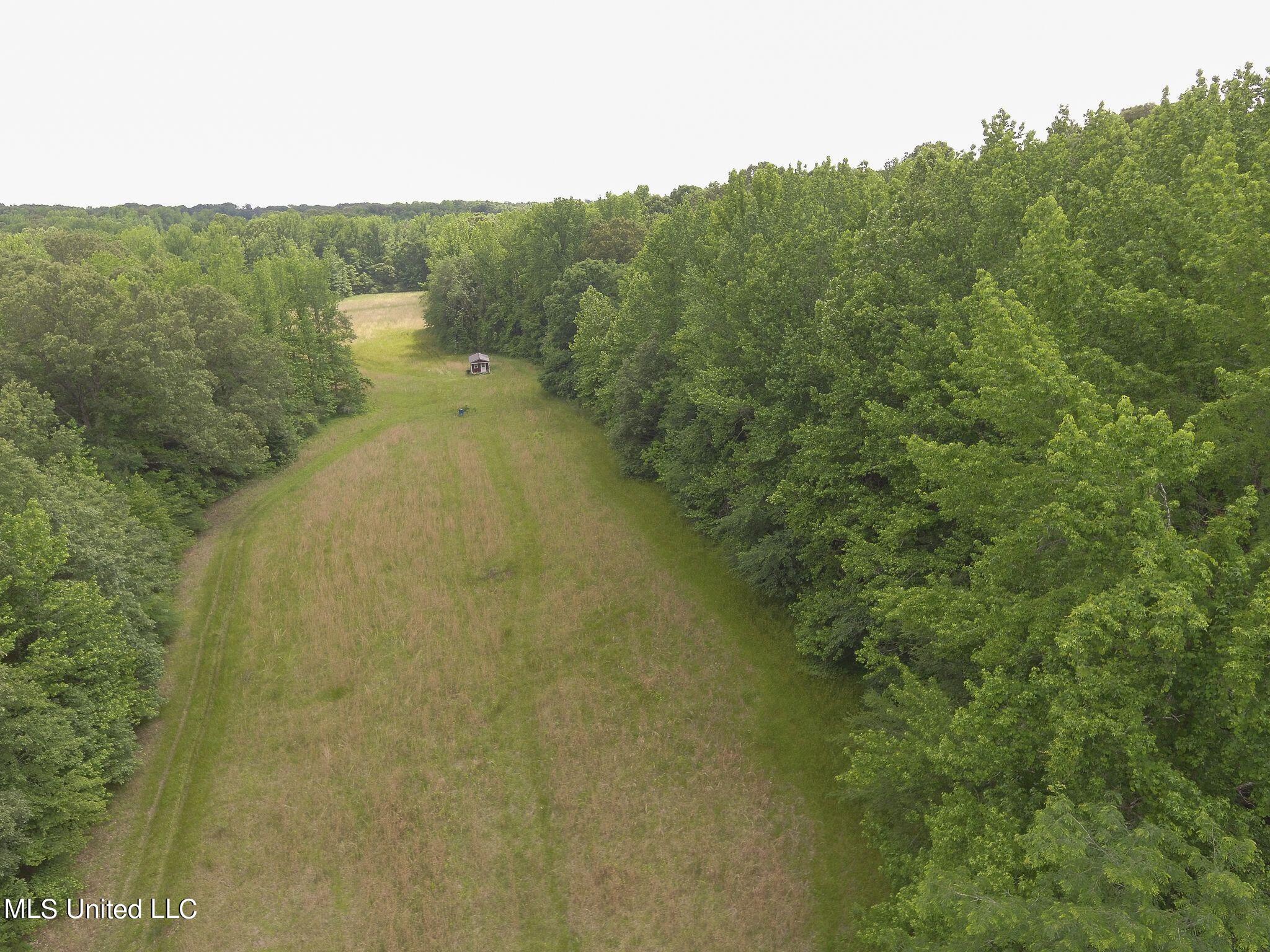 0 Avant Road Crenshaw, MS 38621 - Photo 8 of 14 Avant Rd 8