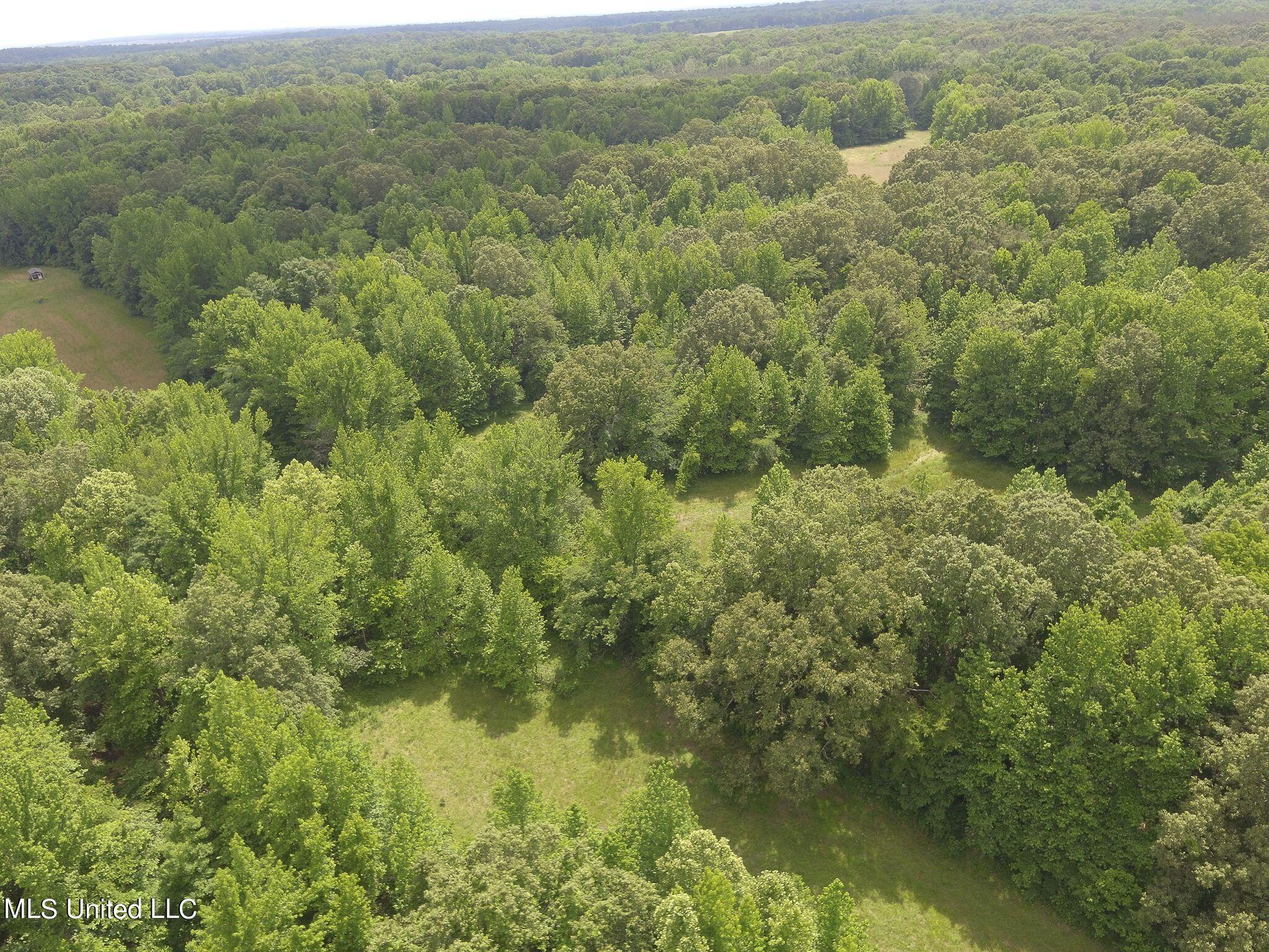 0 Avant Road Crenshaw, MS 38621 - Photo 9 of 14 Avant Rd 9